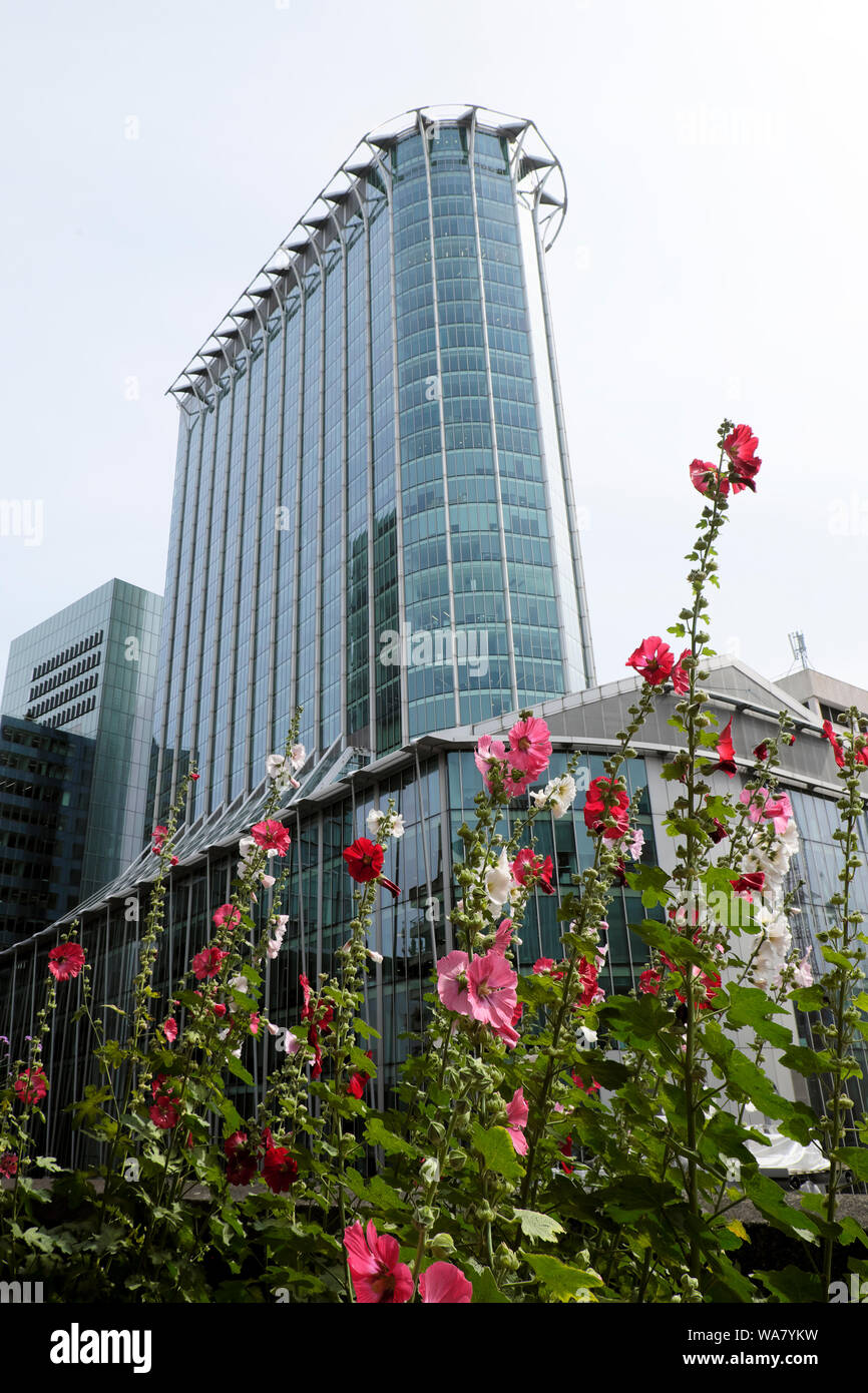 Rosa e Bianco hollyhocks crescendo in estate il Barbican Estate & vista dei grattacieli edifici di uffici nella città di Londra UK KATHY DEWITT Foto Stock