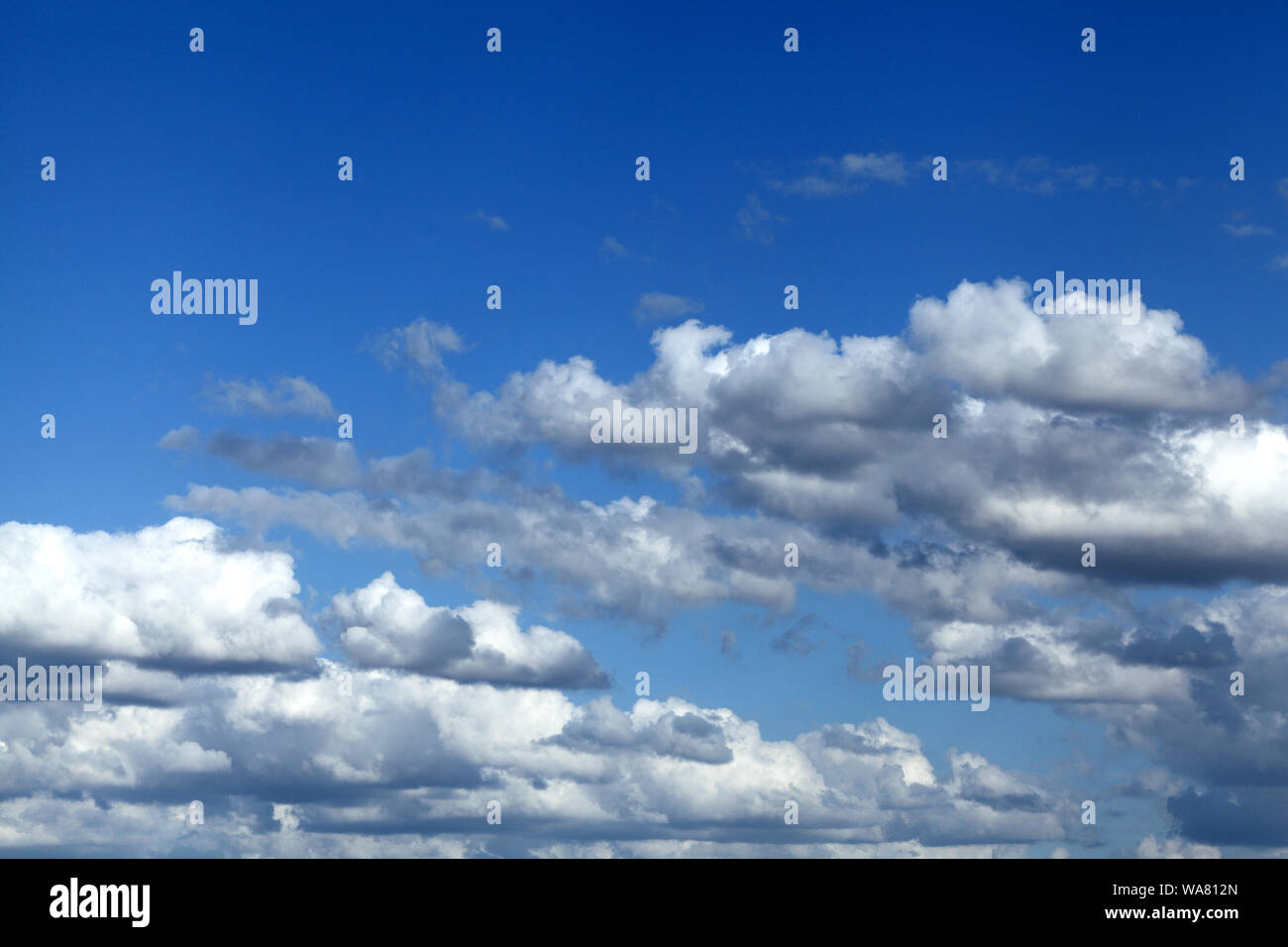 Bianco, cumulus, nuvole, cielo blu Foto Stock