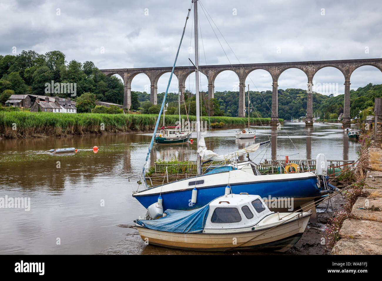 Il fiume Tamar a Calstock con il viadotto in background. Cornwall Inghilterra REGNO UNITO Foto Stock