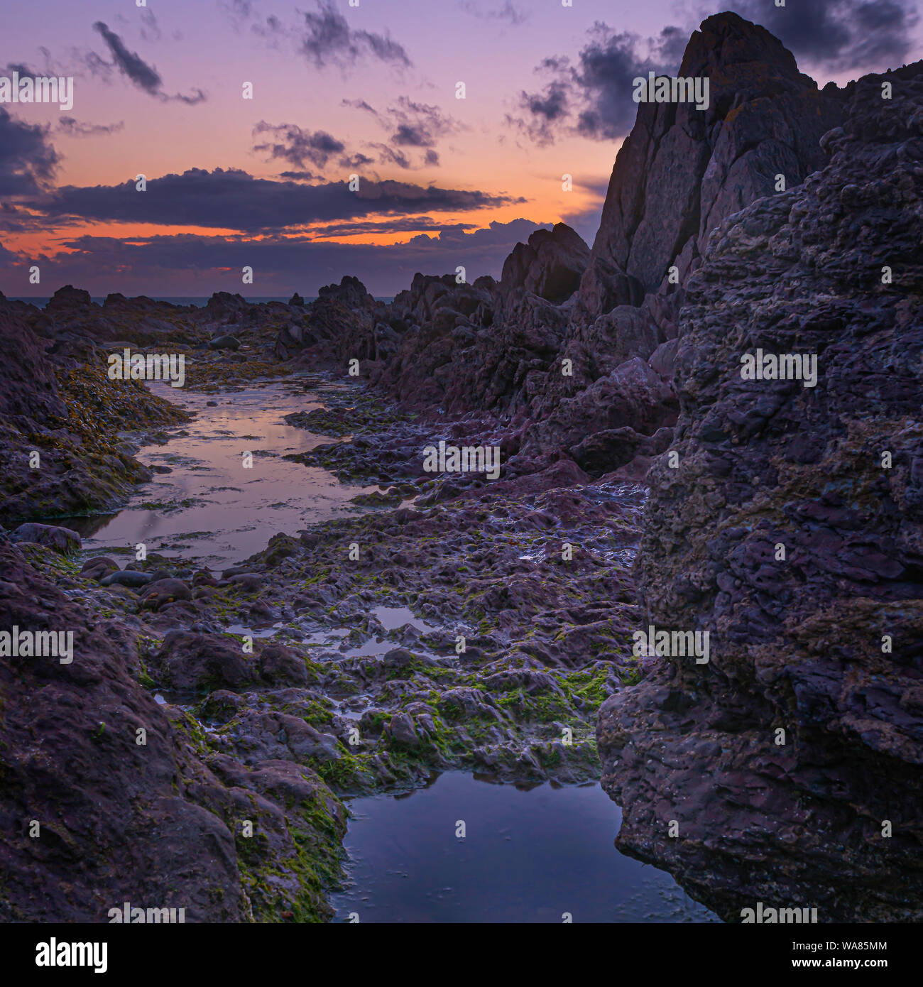 Tramonto sul post-incandescenza sulla magica spiaggia rocciosa al crepuscolo.bella tonalità di viola sulla drammatica del cielo della sera riflettendo in pozze di acqua.Ethereal paesaggio. Foto Stock