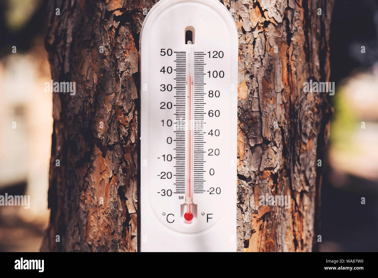 Termometro bianco appeso presso la struttura ad albero visualizza la temperatura  esterna in una bella giornata Foto stock - Alamy