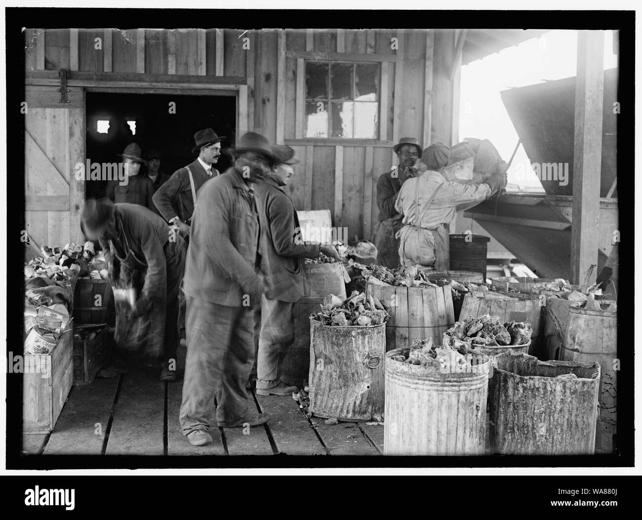 CAMP MEADE, Maryland. MISC. Visualizzazioni Foto Stock