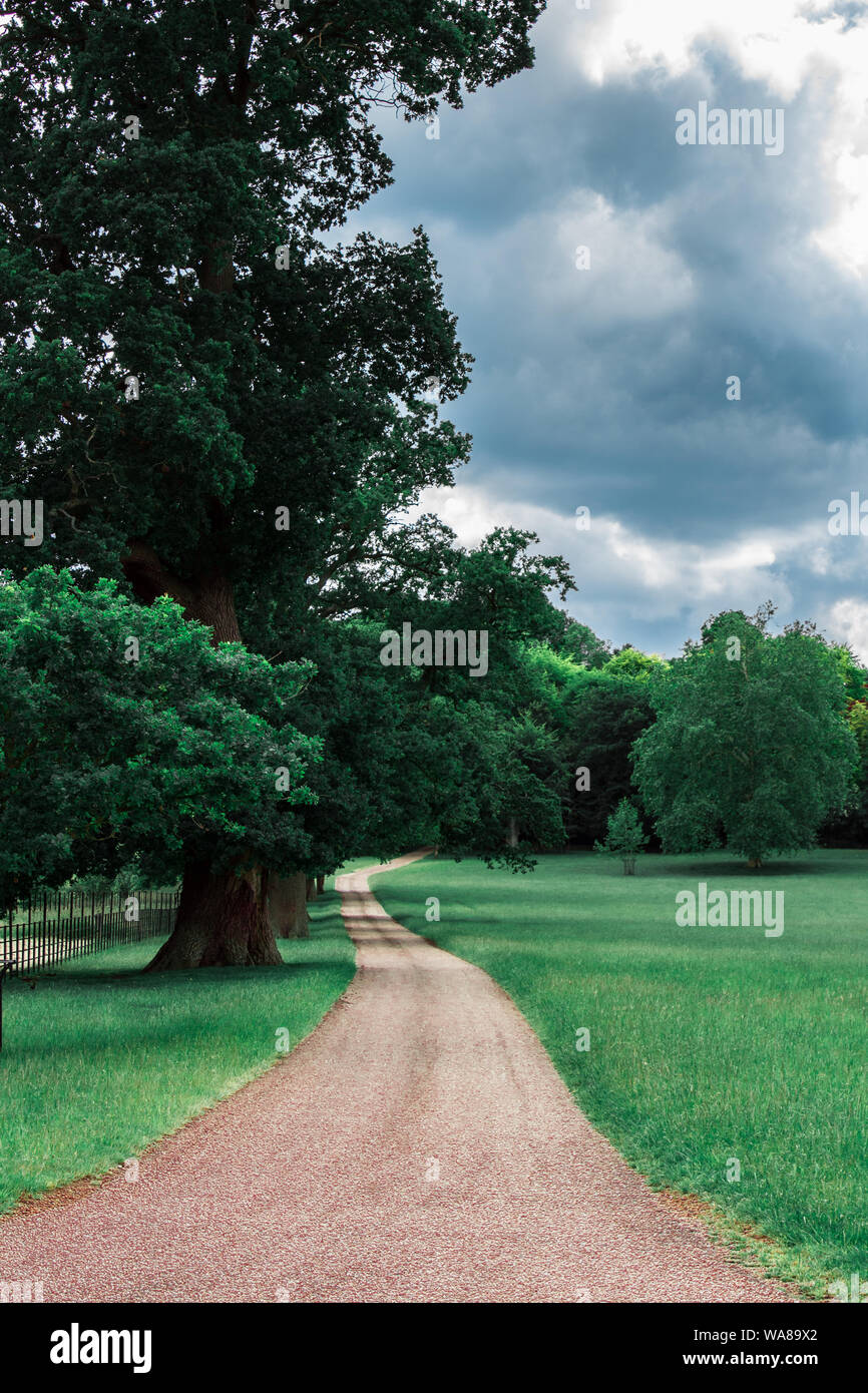 Culham Deer Park, Inghilterra Foto Stock