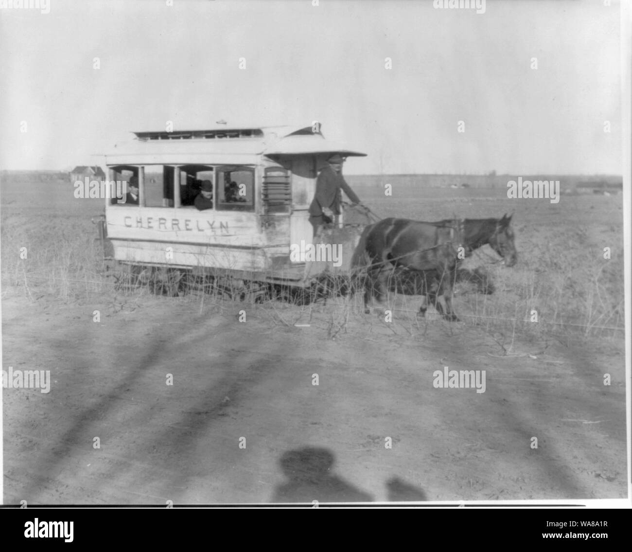 CHERRELYN, un horsecar sulla strada di campagna al di fuori di Denver, Colo. Foto Stock