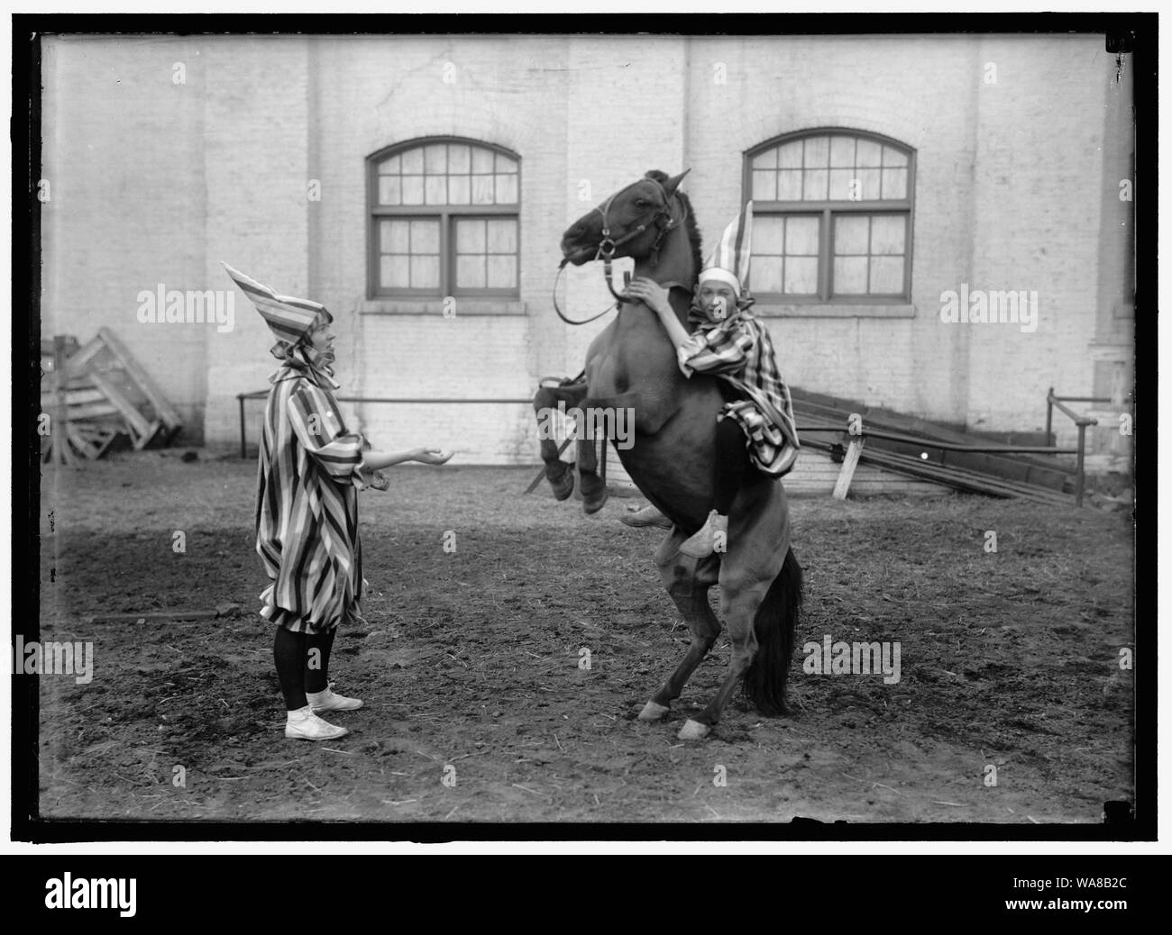 Clown e cavallo Foto Stock