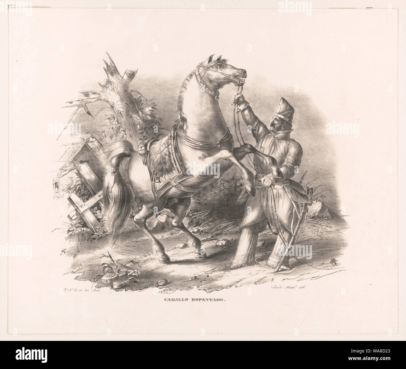 Caballo espantado Foto Stock