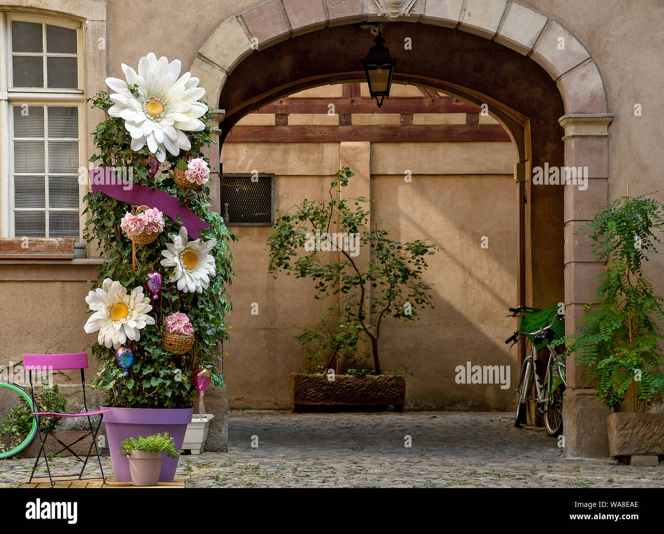 Cortile della casa arch ingresso con daisy piante ornamentali in vaso Foto Stock