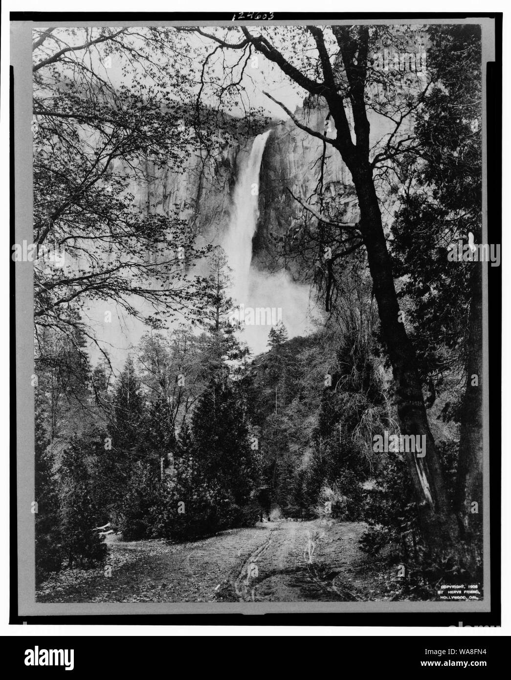 California, Yosemite Valley, Bridal Veil Falls, Wawona Trail Foto Stock