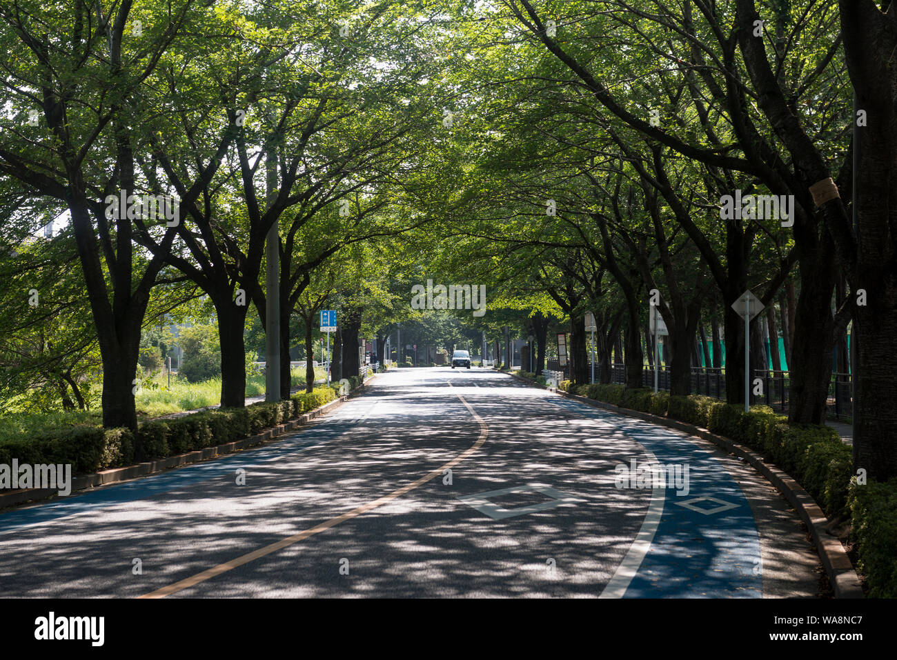 Road vicino al parco Musashinomori, Chofu, Tokyo, Giappone Foto Stock
