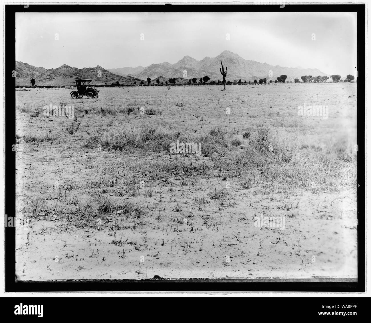Auto in scena nel deserto Foto Stock