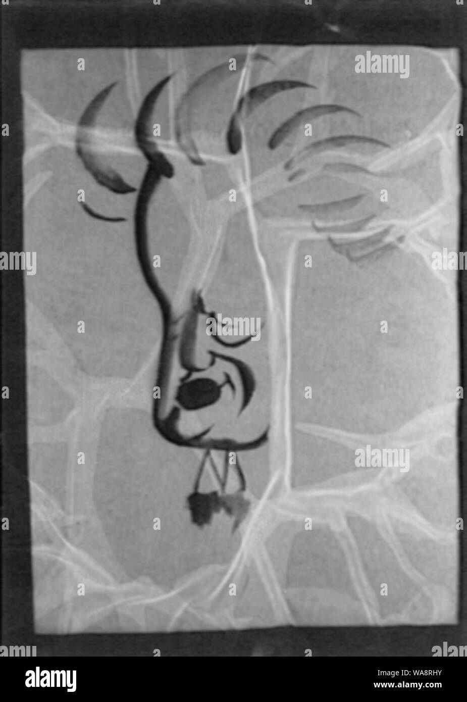 La caricatura disegno di Arnold Genthe Foto Stock