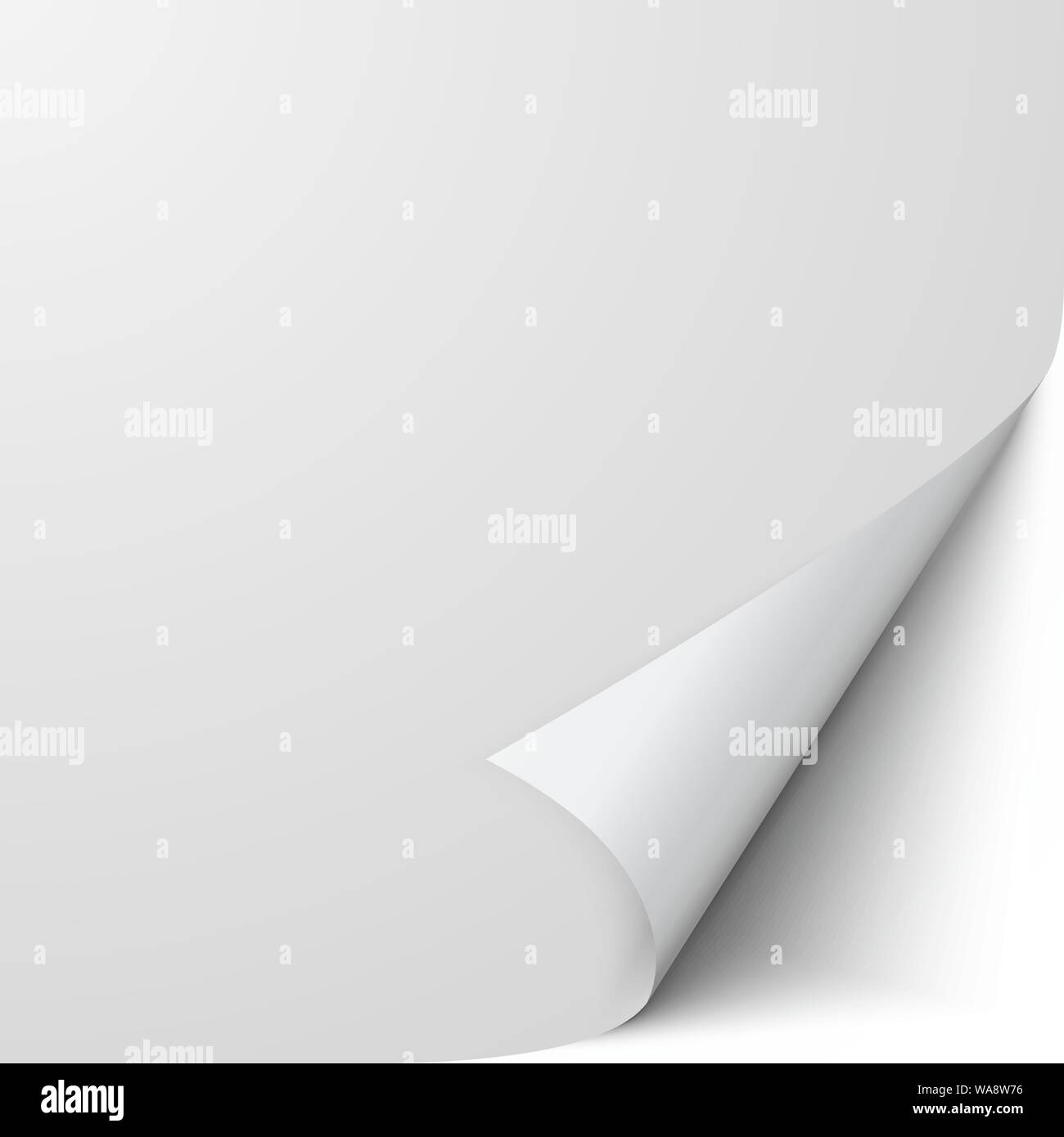 Foglio arrotolato di carta. Vuoto vuoto di carta con angolo ritorto. Illustrazione Vettoriale Illustrazione Vettoriale