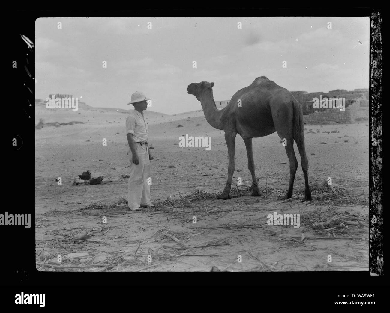 Automobili nel deserto Foto Stock