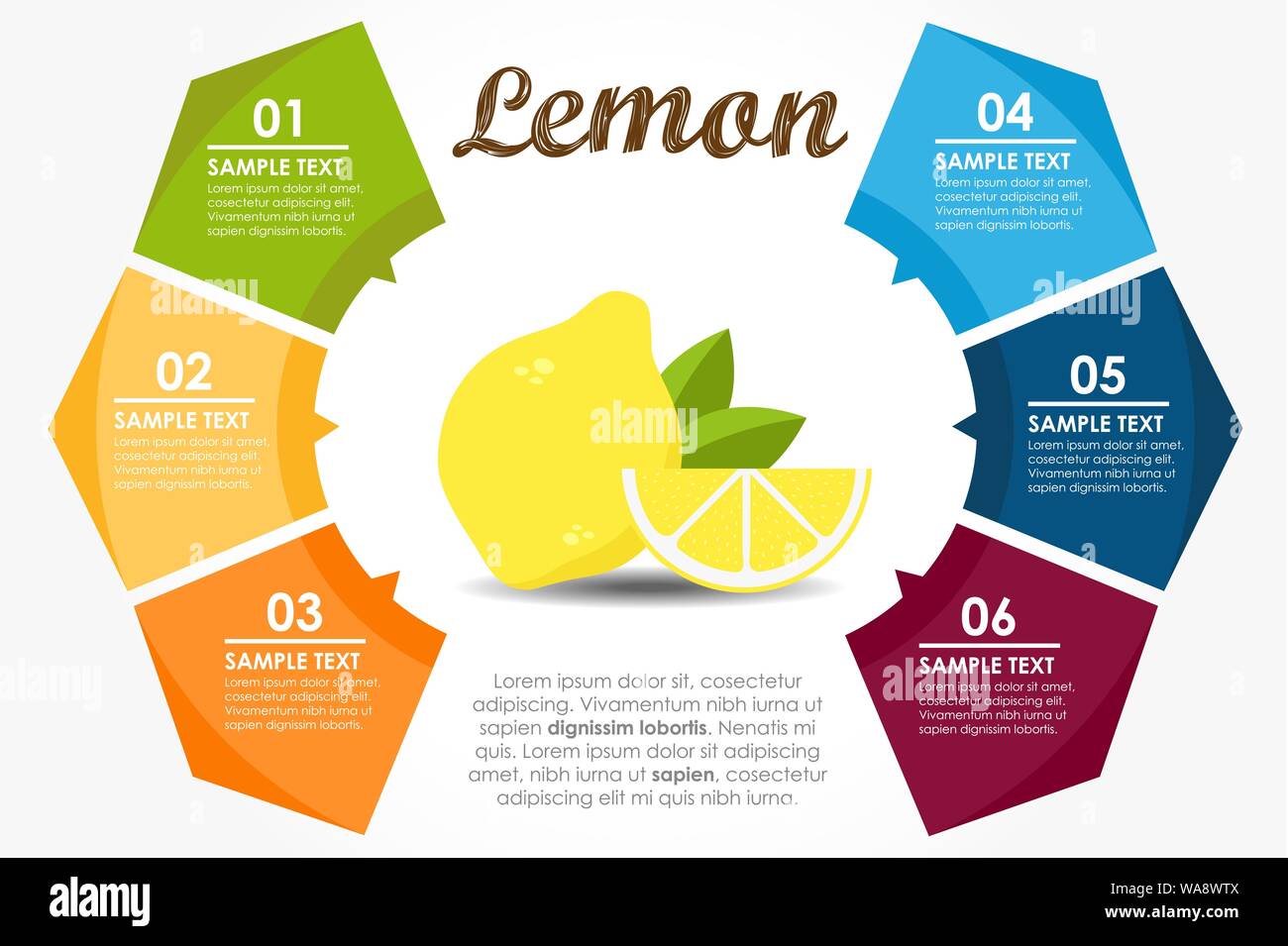 Frutti del modello proprietà nutrizionali. Cerchio di limone ed infografico. Illustrazione Vettoriale Illustrazione Vettoriale