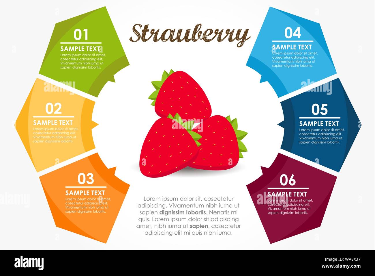 Frutti del modello proprietà nutrizionali. Cerchio di fragola Una infografica. Illustrazione Vettoriale Illustrazione Vettoriale