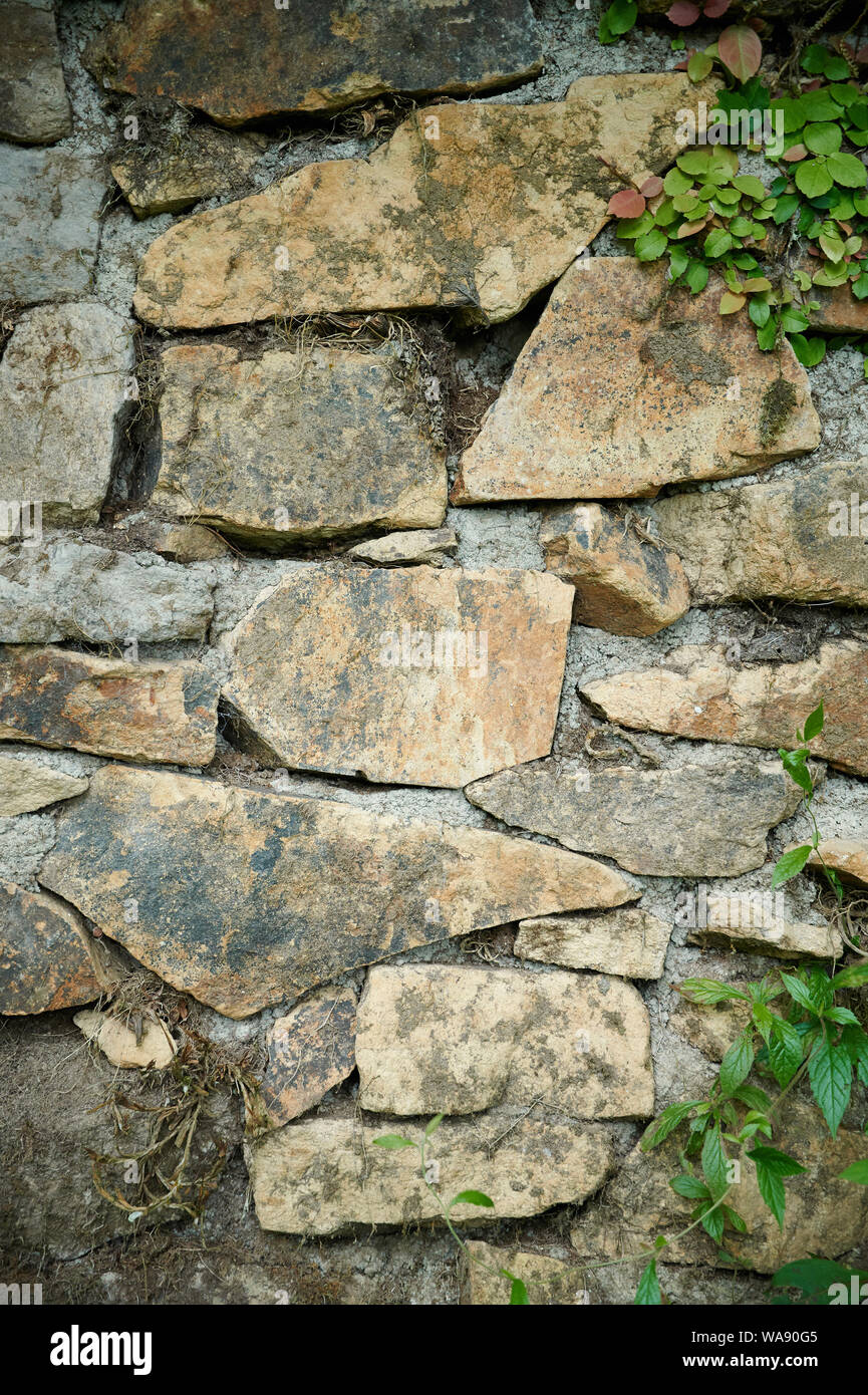 Muro di pietra texture con prato verde e piante a secco Foto Stock