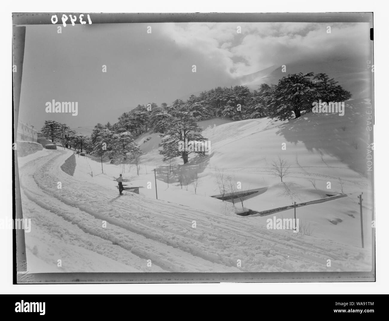 Cedri, Cedar Grove mostra road hotel di avvicinamento Foto Stock