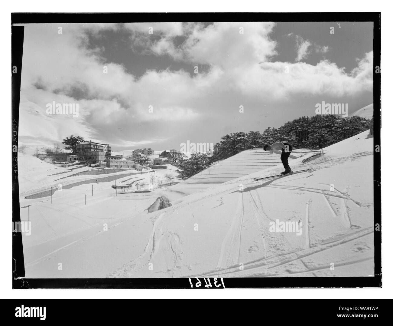 Cedri, piste innevate e avvicinando il Cedar Grove mostra il cedro 'Hotel' Foto Stock