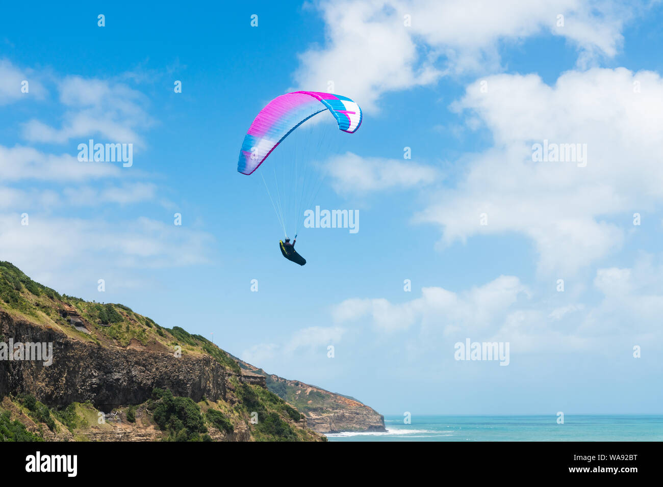Vista spettacolare di Muriwai Beach, area di Auckland, Isola del nord della Nuova Zelanda. Muriwai è una popolare area ricreativa per Aucklanders. Parapendio, Foto Stock