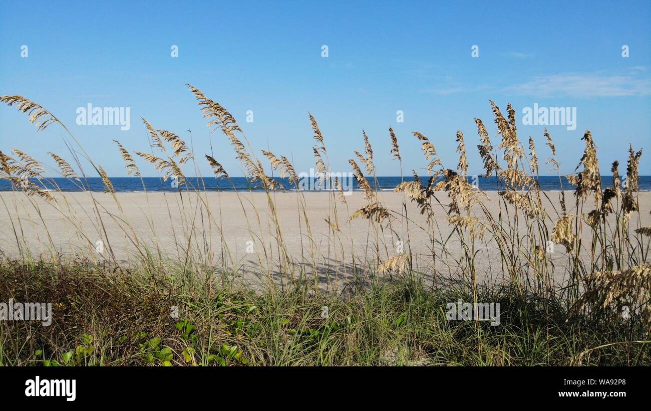 Spiaggia bellissima scena Foto Stock