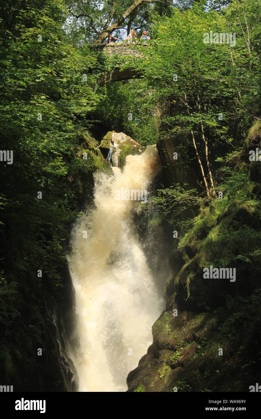 Aira Force cascata, Watermillock, vicino a Ullswater nel Lake District inglese, Cumbria Regno Unito. Foto Stock