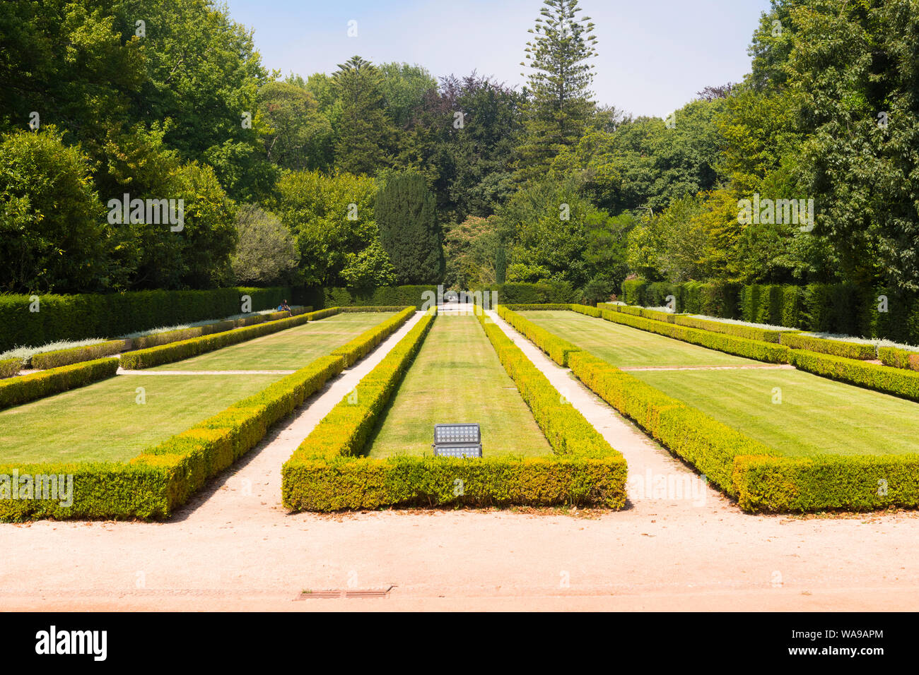Portogallo Porto Porto Jardim do Palacio de Cristal Crystal Palace giardini ornamentali giardino formale geometrica alberi ligustro siepi Foto Stock