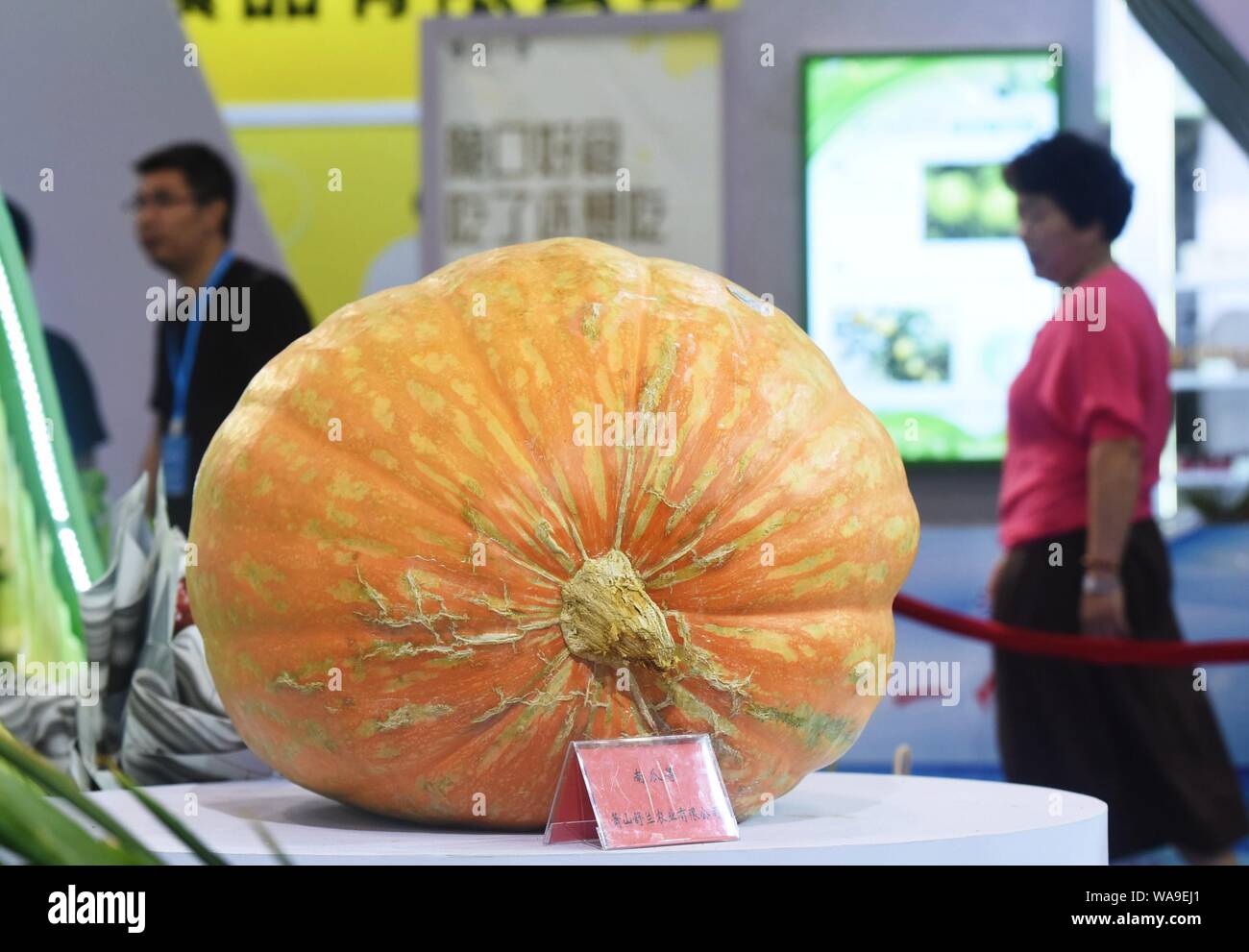 Un gigante di zucca di spazio del peso di 100 kg viene visualizzato durante una mostra nella città di Hangzhou, a est della Cina di provincia dello Zhejiang, 28 luglio 2019. Scien Foto Stock