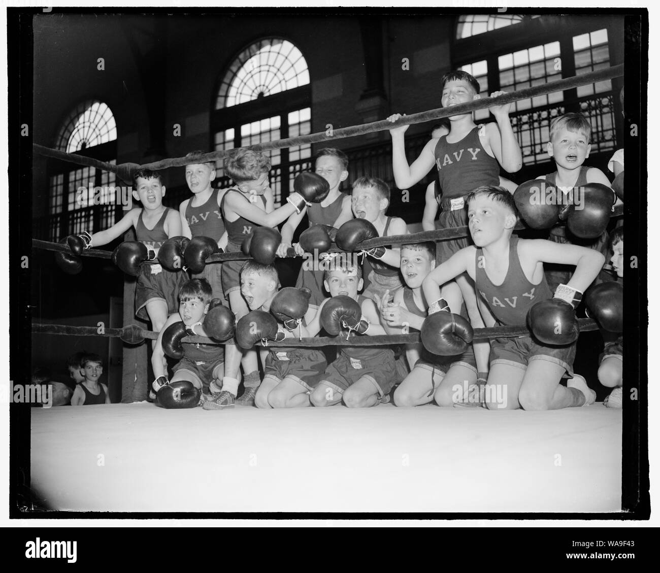 Il tifo sugli spalti. Annapolis, MD, 16 aprile. L'Accademia Navale qui ha tenuto il suo ventesimo Marina annuale Junior Boxe campionati con tutte le formalità elargiti a grande college in combattimento, ma i combattenti sono stati tutti i pre-high school, di dimensioni che vanno da 3 a 14 anni. Gene di Fairfax, capitano dell'Accademia boxe team refereed e Spike Webb, Navy pullman, officiata. Qui è un gruppo di combattenti a fare il tifo per una coppia dei loro compagni, 4-15-39 Foto Stock