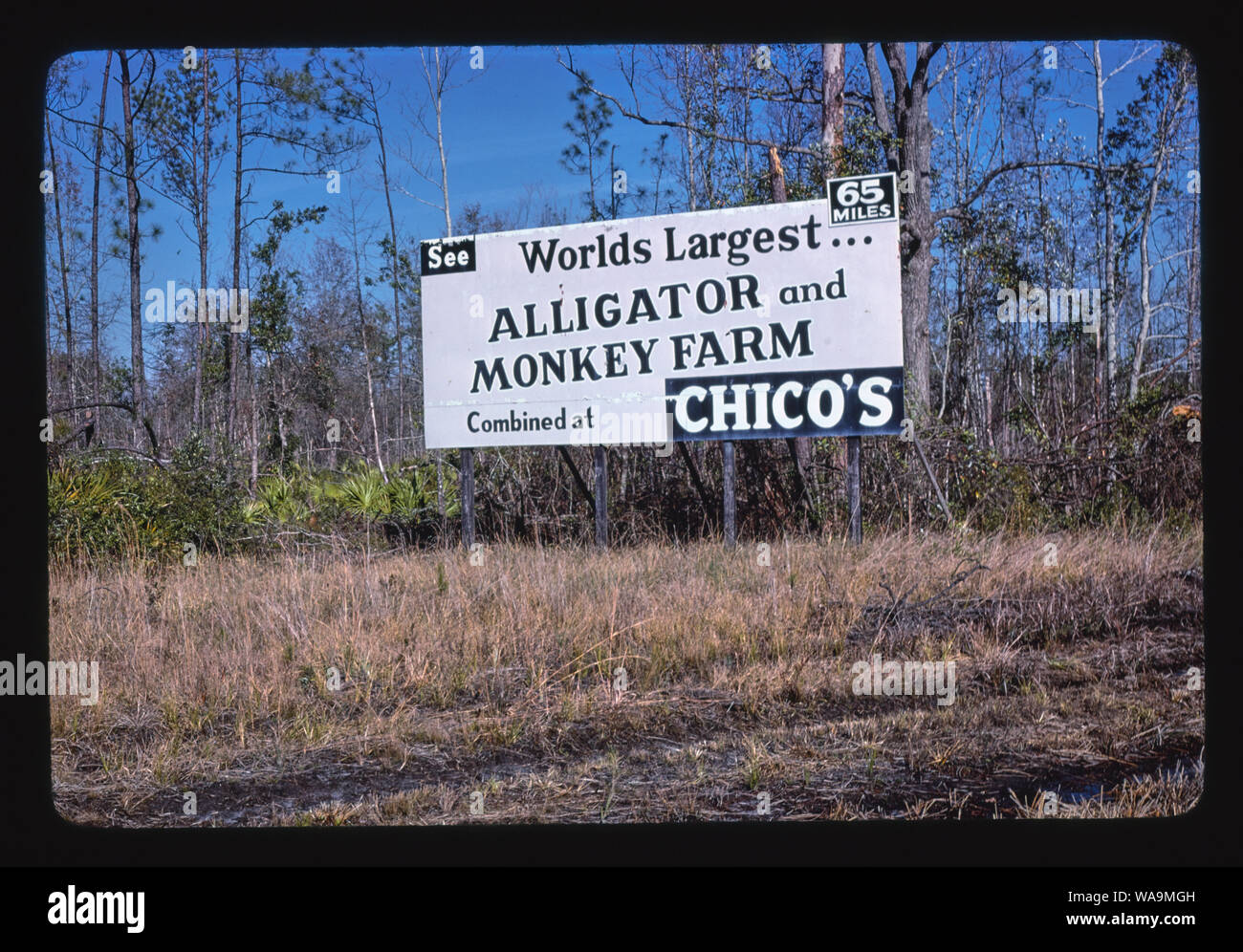 Chico's affissioni, Route 17, Georgia Foto Stock