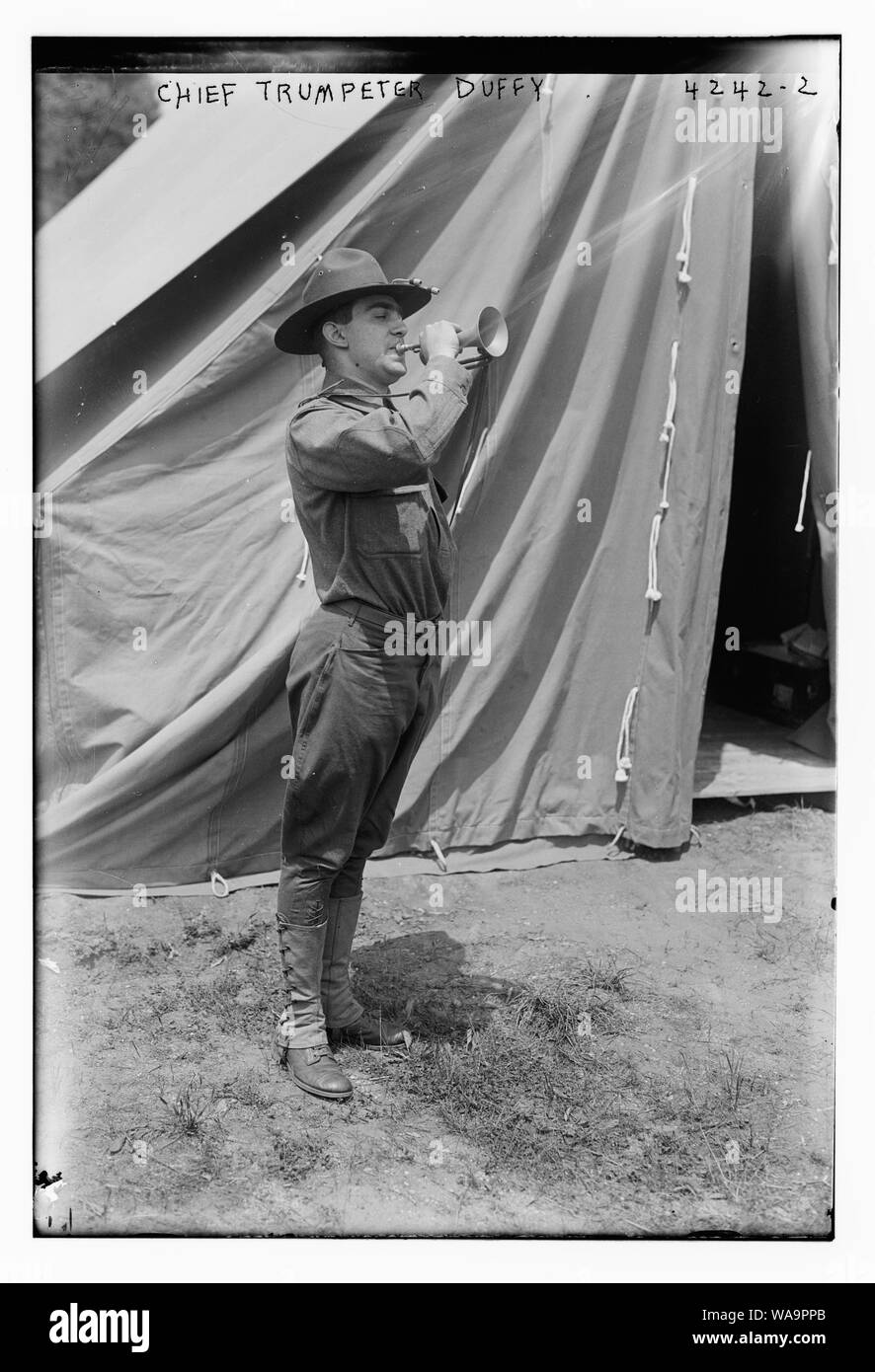 Capo Trumpeter Duffy Foto Stock