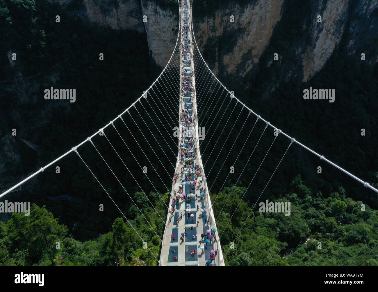 I turisti a piedi sulla più lunga del mondo e il più alto dal fondo di vetro ponte sopra il Zhangjiajie Grand Canyon a Wulingyuan Scenic e interesse storico Ar Foto Stock