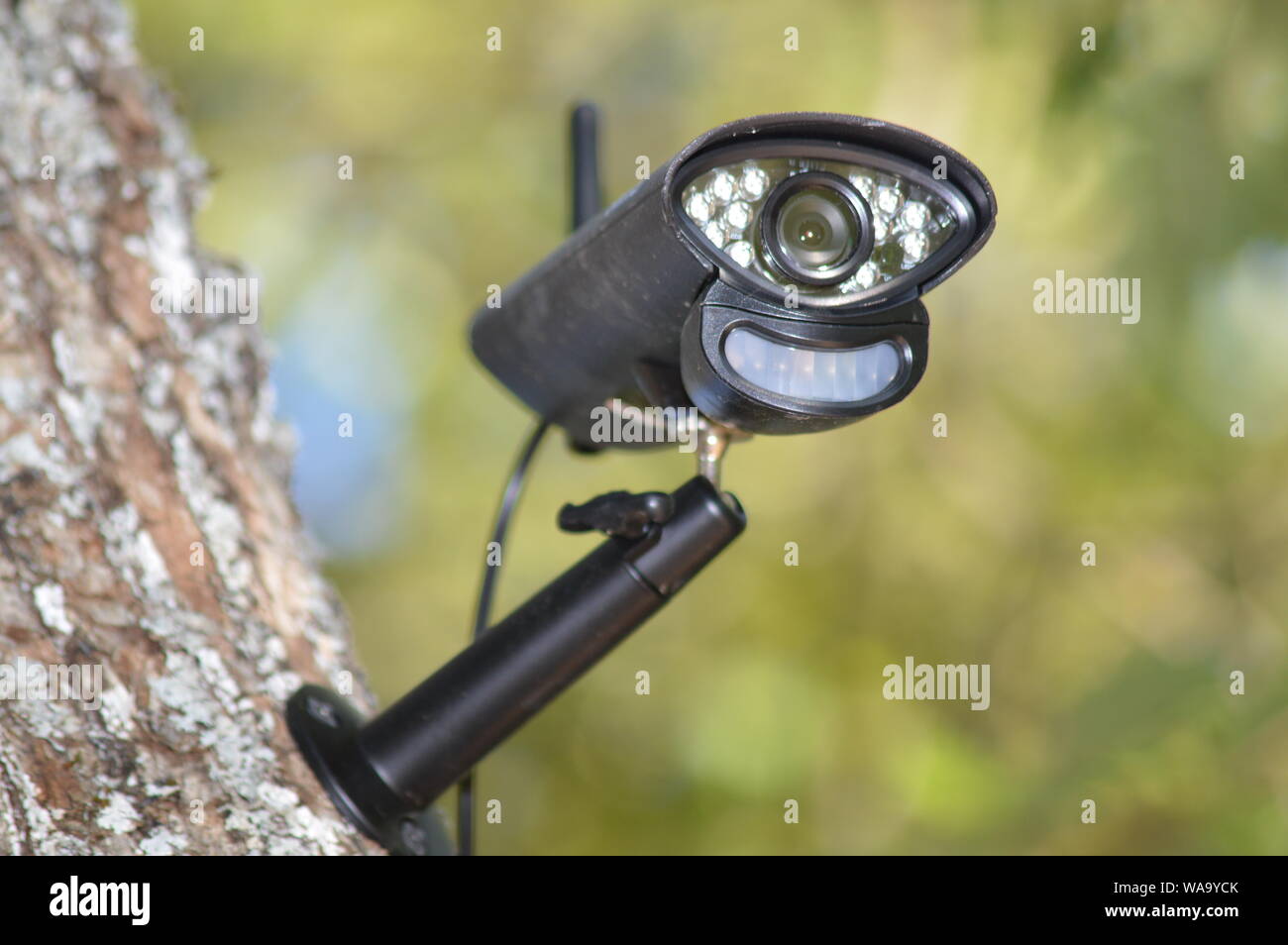 Primo piano su una videocamera di sorveglianza installata nella foresta Foto Stock