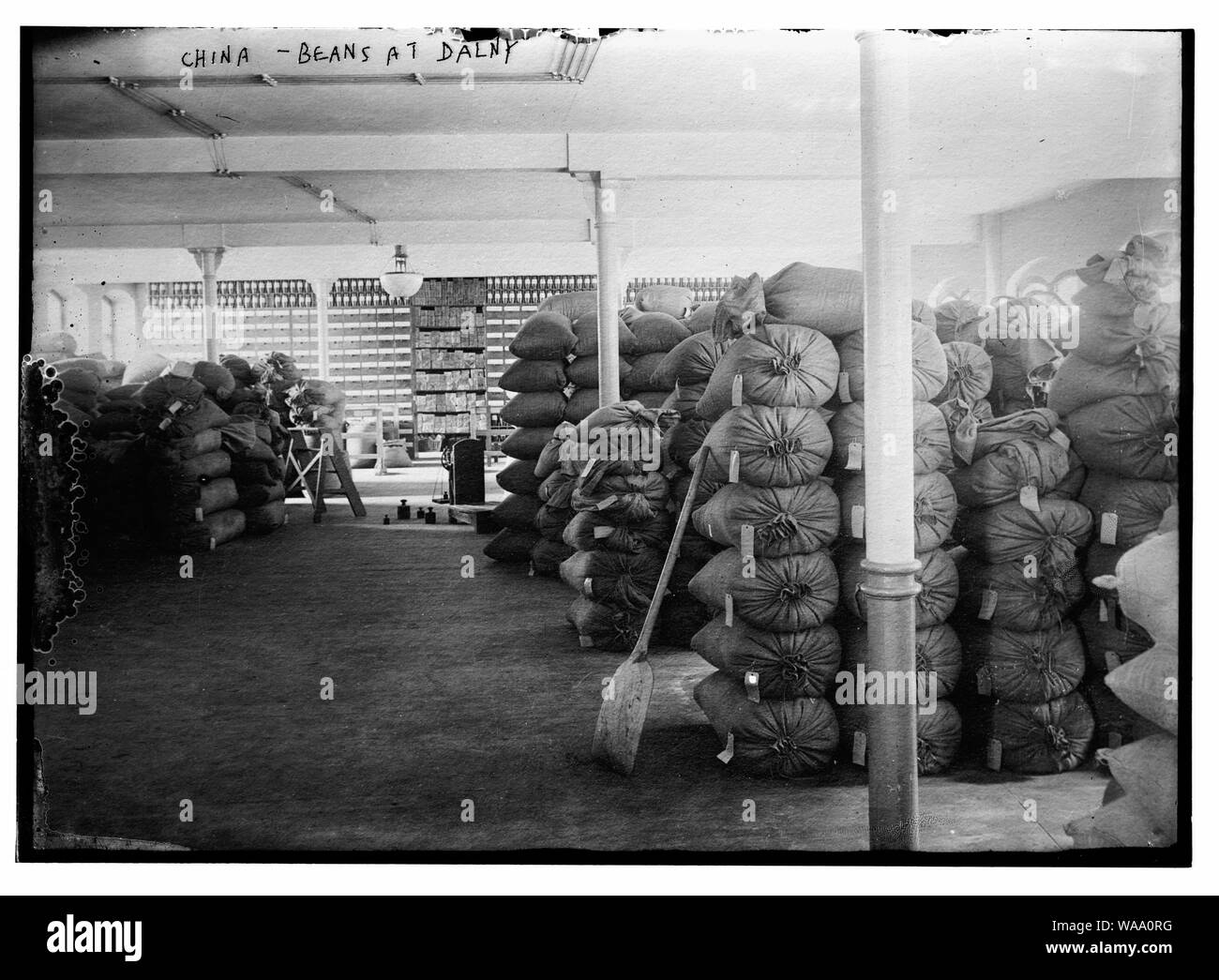 Cina - Fagioli a Dalny Foto Stock