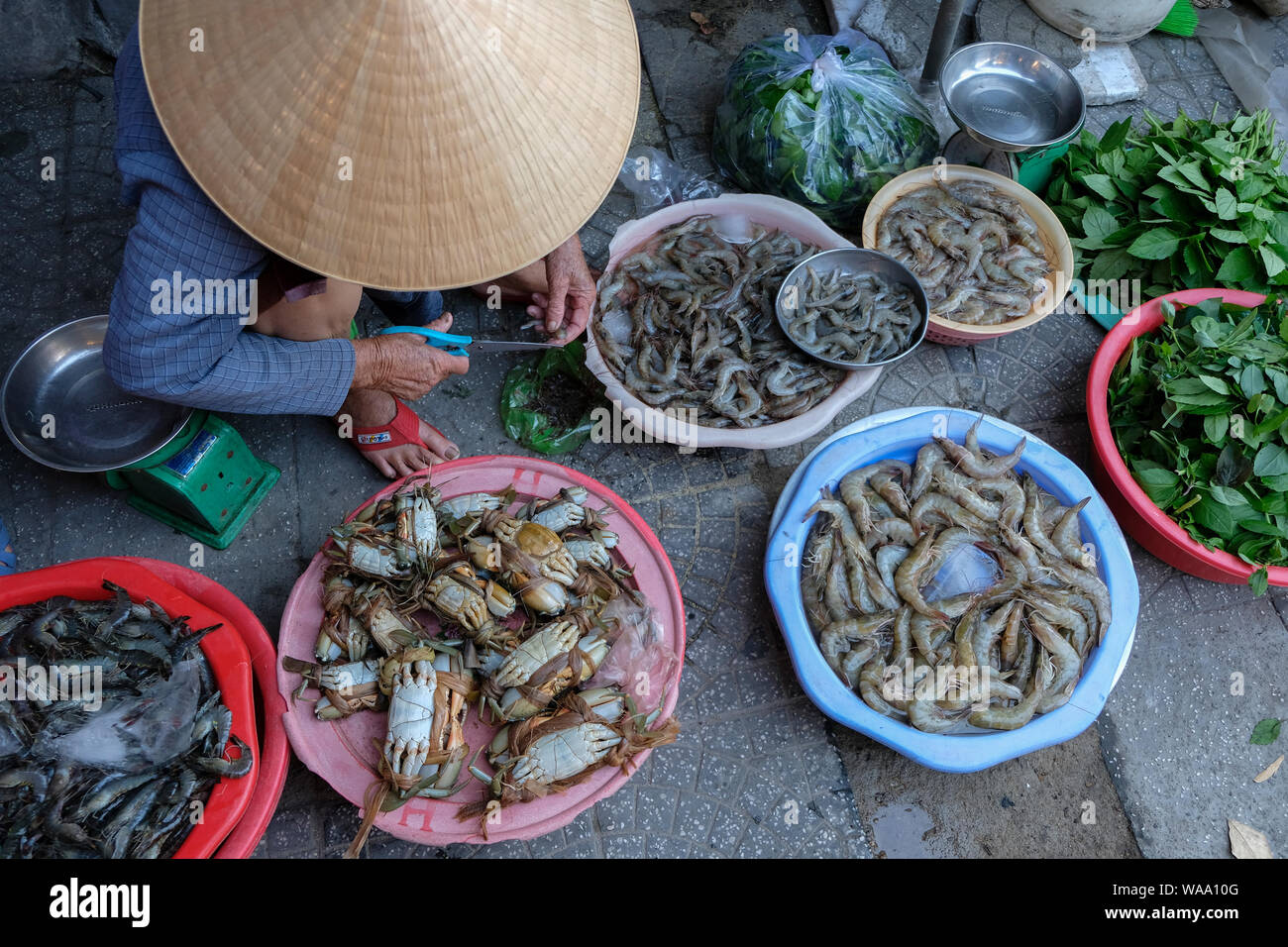 Hoi An, Vietnam - 17 agosto: pesce venditori sul mercato il 17 agosto 2018 a Hoi An, Vietnam. Foto Stock