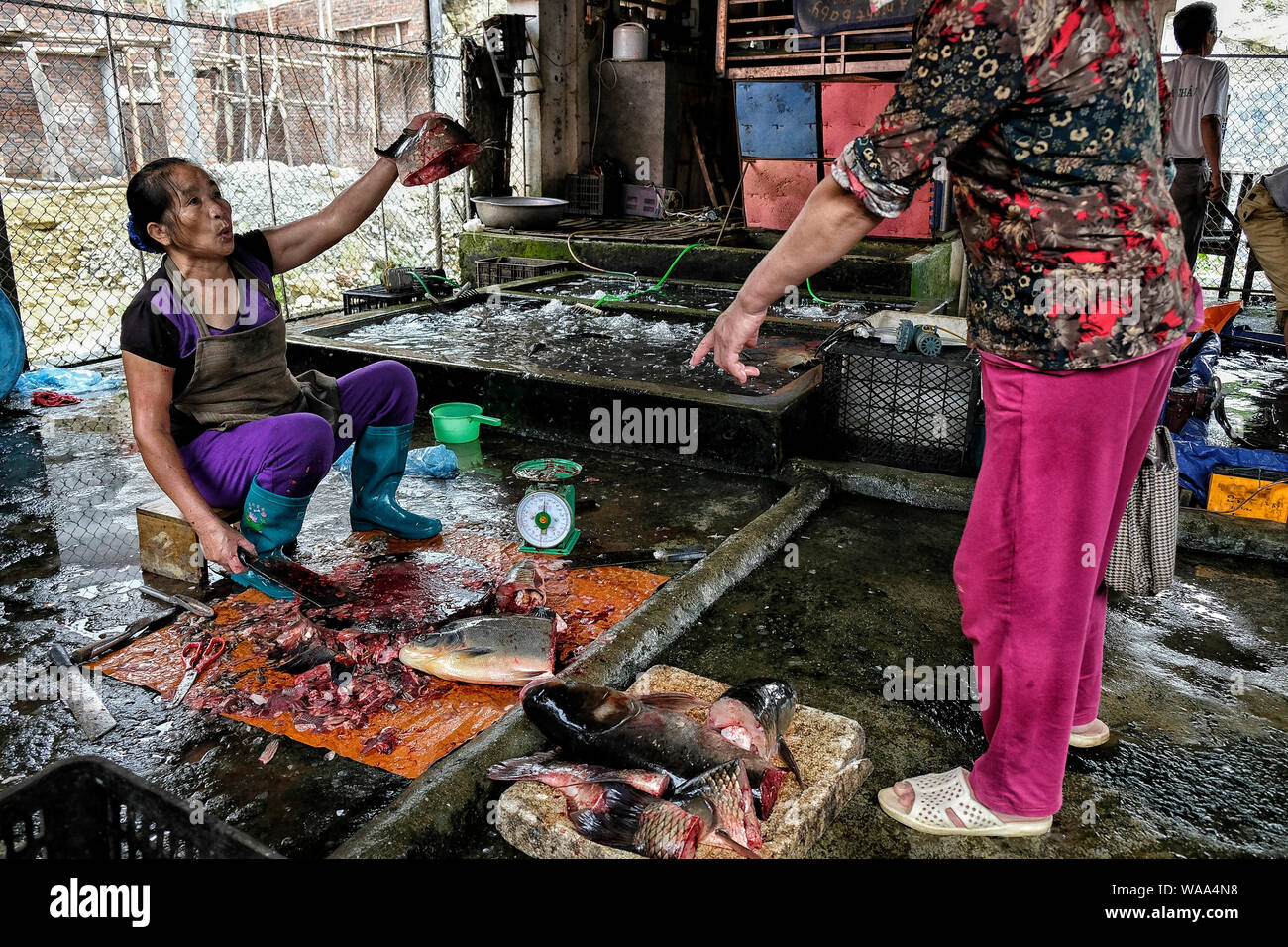 Bac Ha, Vietnam - Agosto 26, 2018: persone non identificate di acquisto e di vendita del pesce al mercato di domenica il 26 agosto 2018 a Bac Ha, Vietnam. Foto Stock