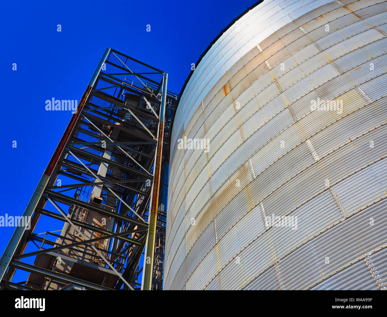 Acciaio silo di grano Foto Stock