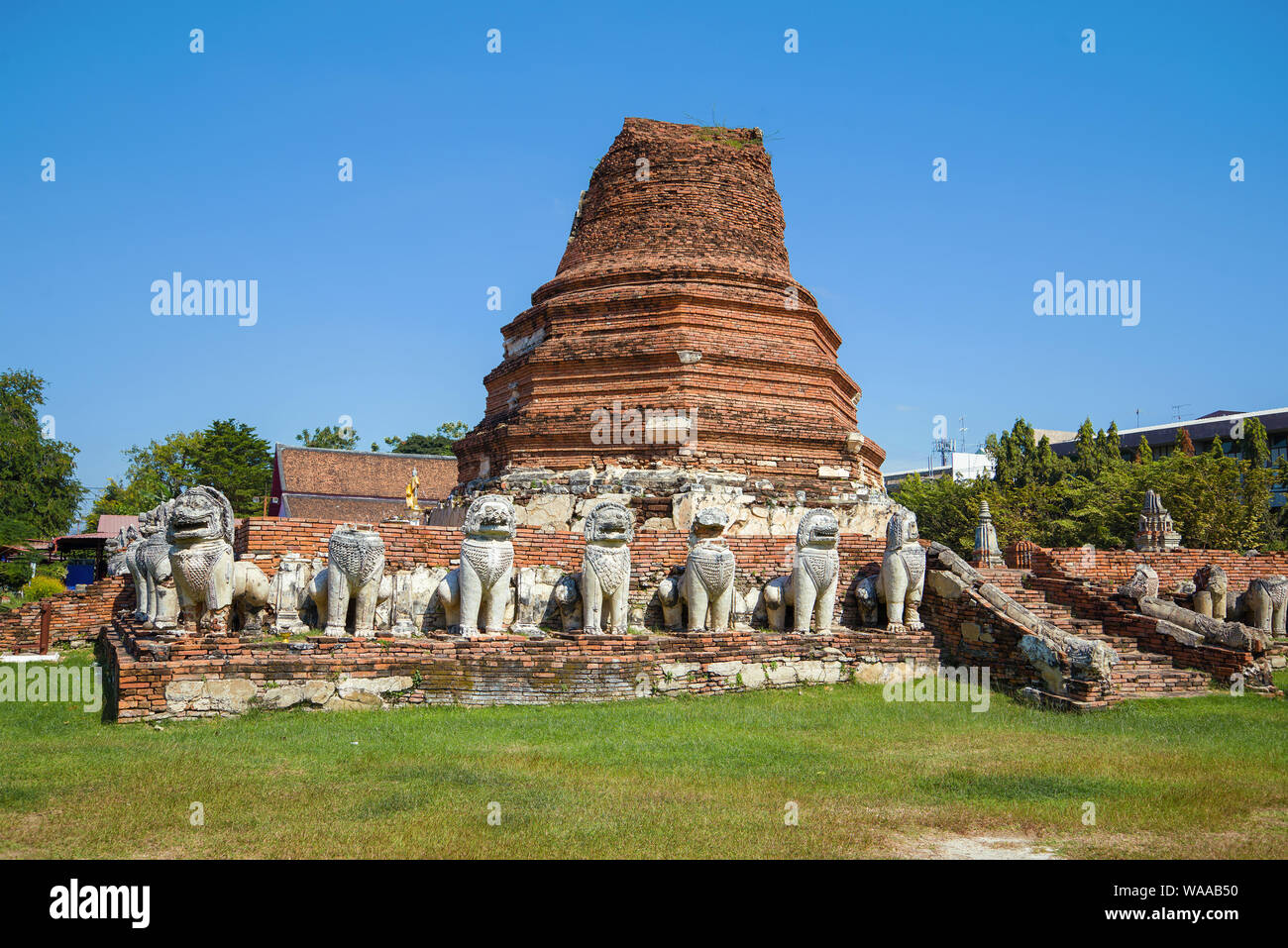 Vista delle rovine della stupa buddista di Wat Tammikarat tempio in una giornata di sole. Ayutthaya, Thailandia Foto Stock