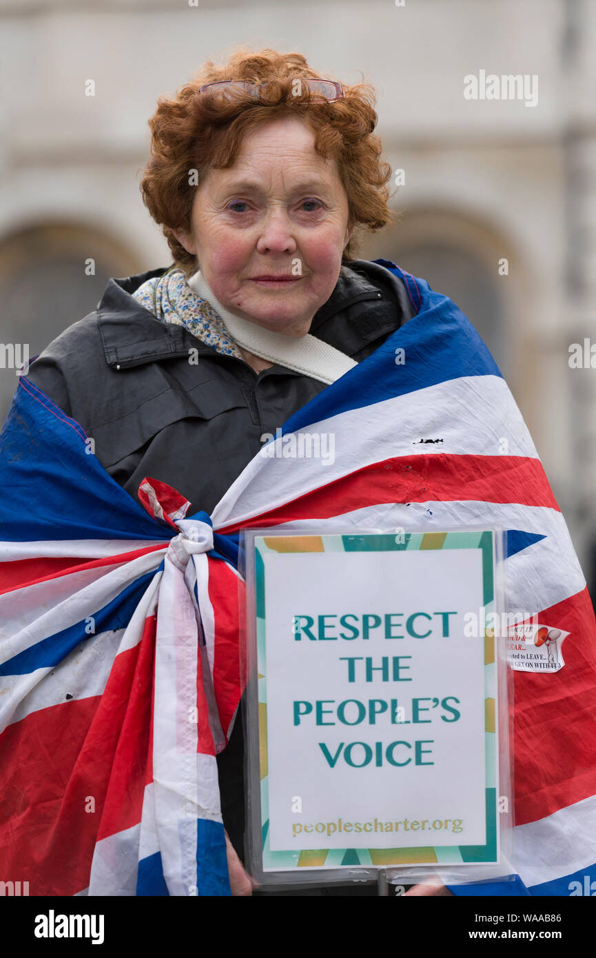 Pro Brexit protesta, al di fuori della Camera dei comuni, per contrassegnare il 5 mesi poiché il Regno Unito ha votato per lasciare l'Unione europea. Londra, Gran Bretagna. Foto Stock
