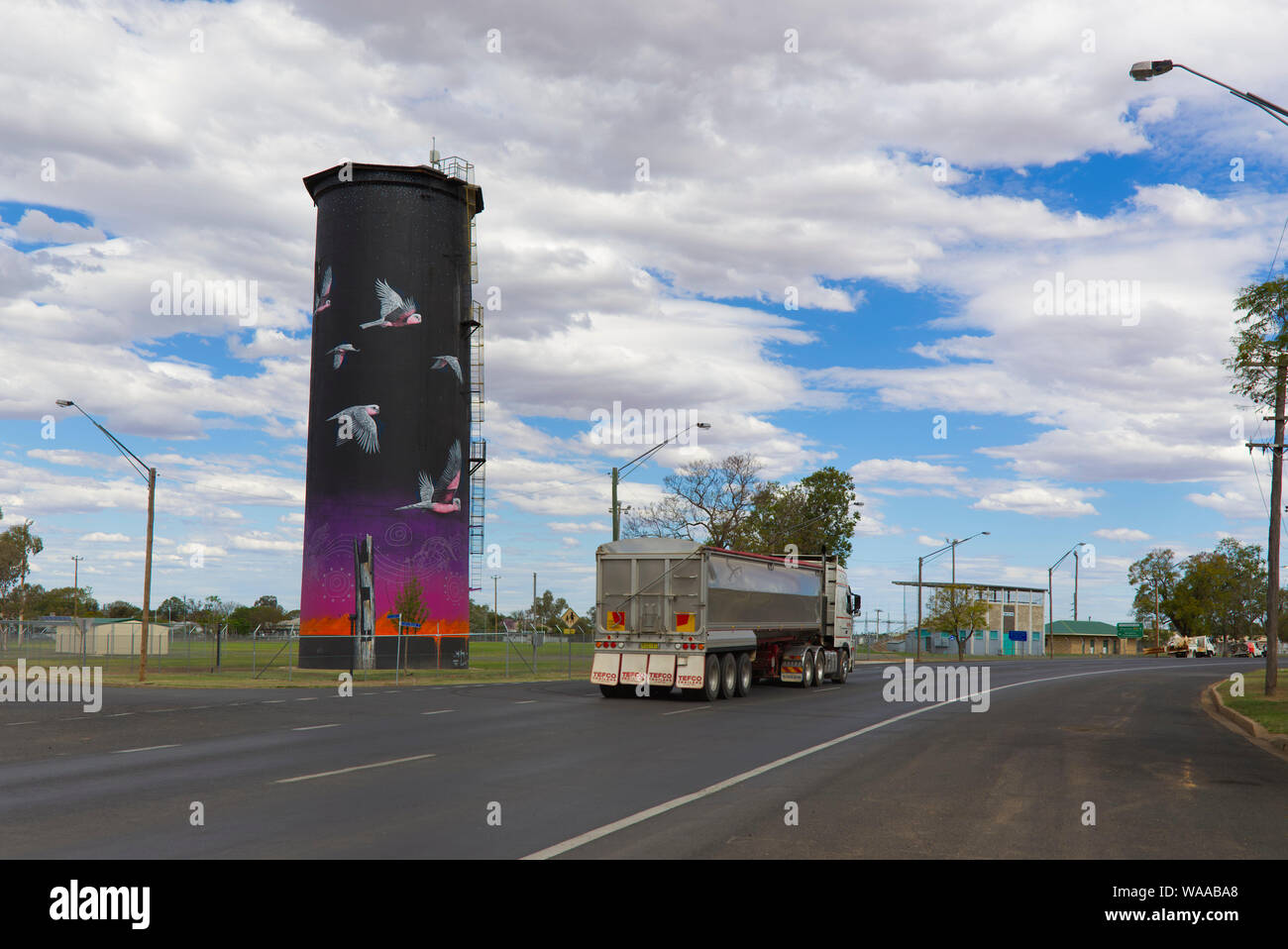 Scenic acqua serbatoio di stoccaggio decorata con un murale di battenti galahs Coonamble nel Nuovo Galles del Sud Australia Foto Stock