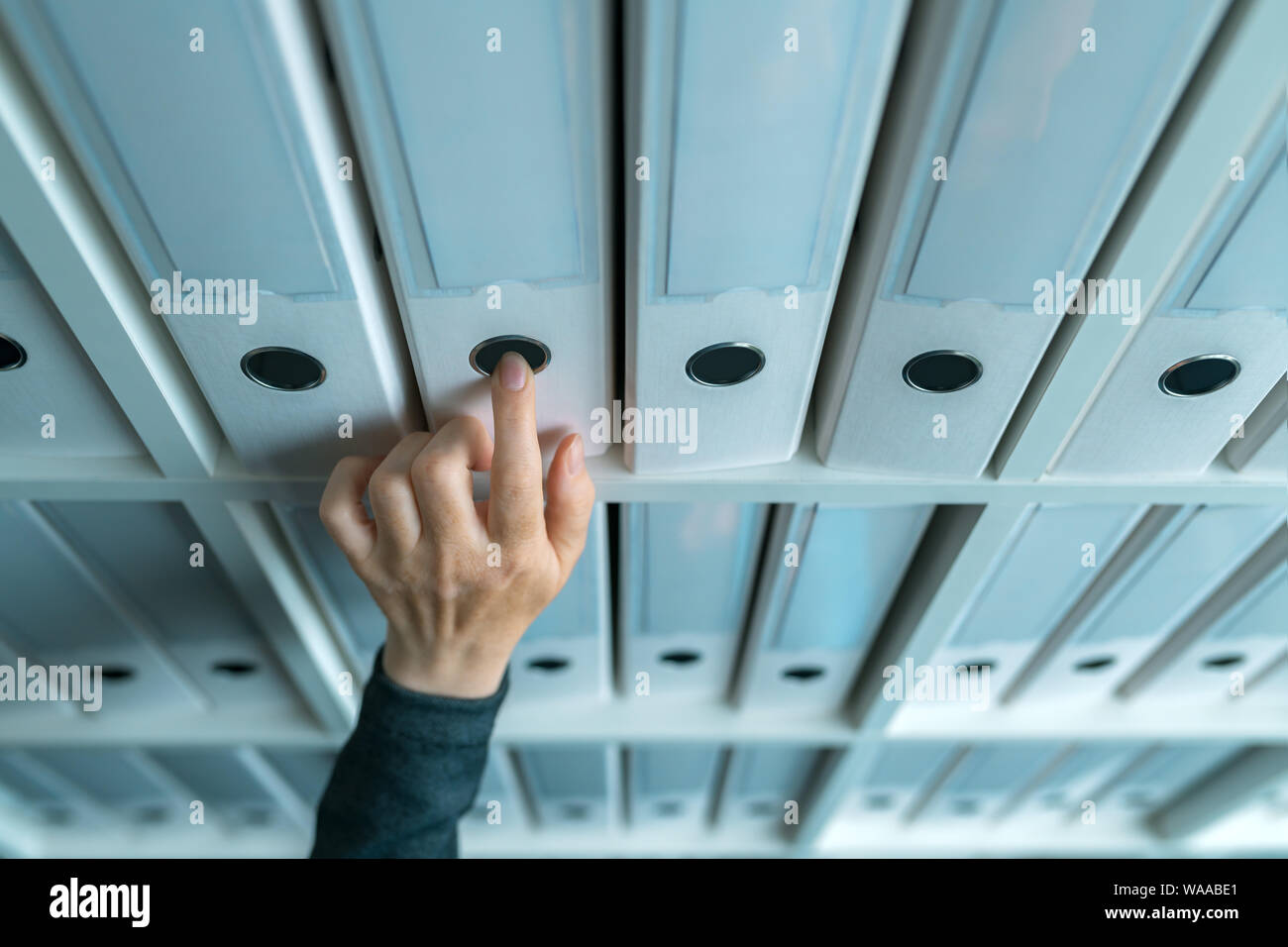 Imprenditrice navigando attraverso il ring binder file archivio di documentazione sul ripiano in ufficio business, stretta di mano Foto Stock