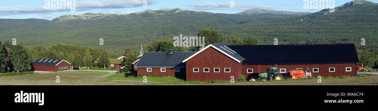 Agriturismi sul pendio in Norvegia Foto Stock