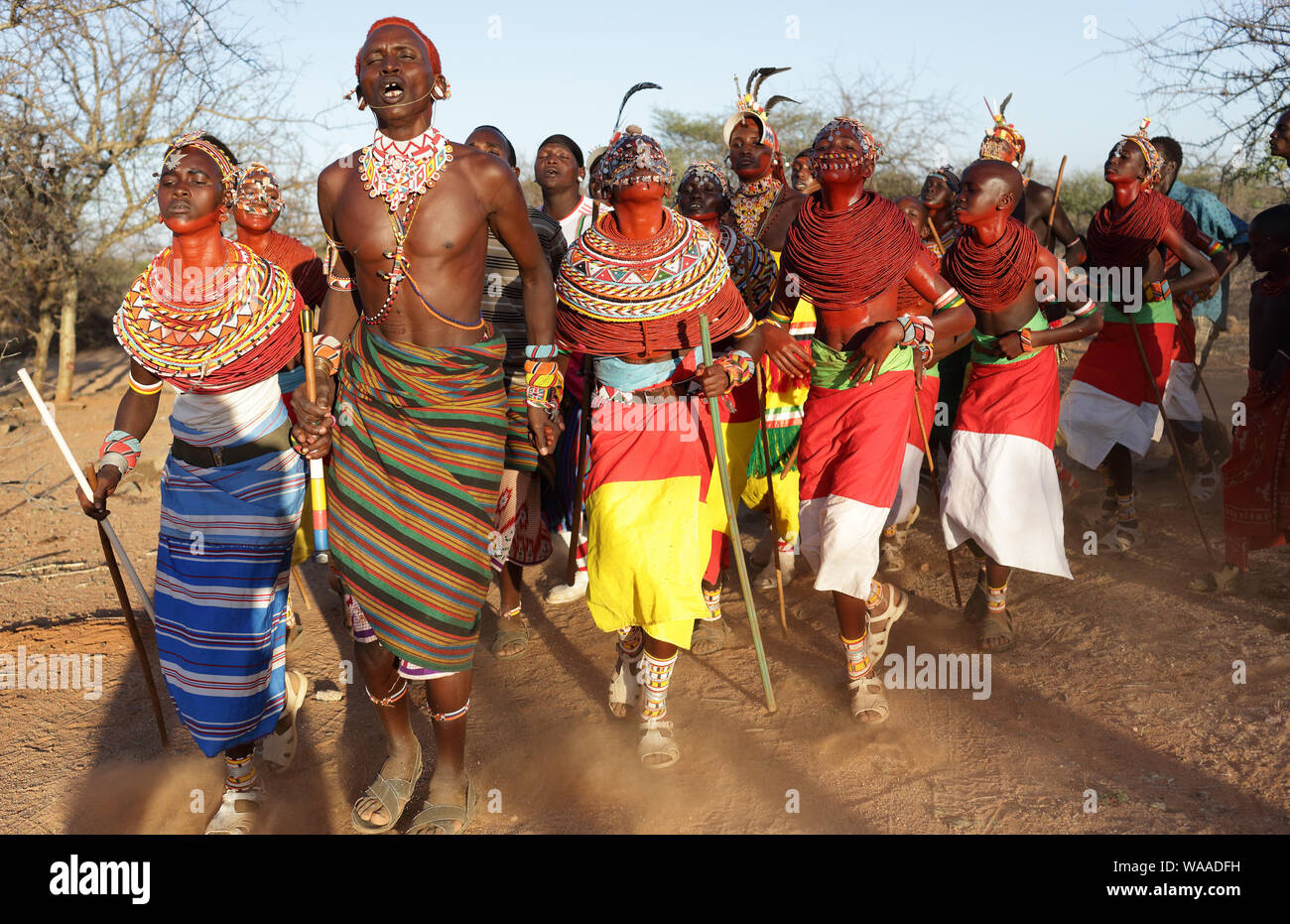 Samburu ballerini per partecipare ad una cerimonia di nozze in un villaggio nei pressi di arcieri Post, Kenya. Foto Stock