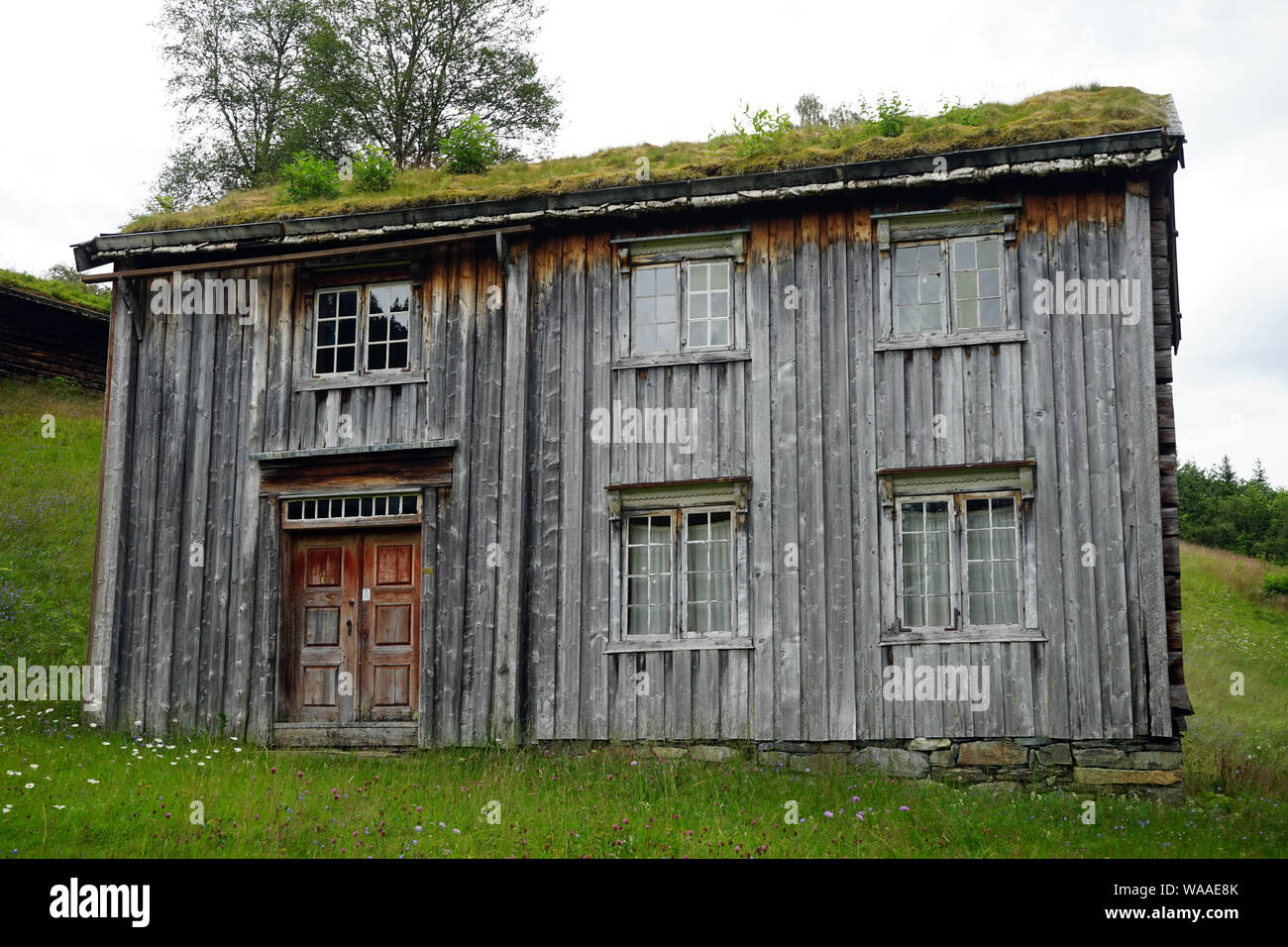 Casa in legno con erba verde sul tetto in Norvegia Foto Stock