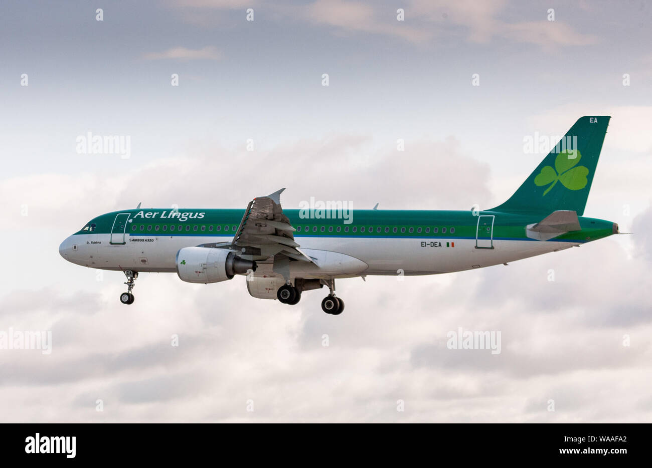 Aeroporto di Cork, Cork, Irlanda. 19 Agosto, 2019. Un Aer Lingus un aeromobile di tipo Airbus A320 attorno alla terra dopo il suo breve volo da Amsterdam in Cork Airp Foto Stock