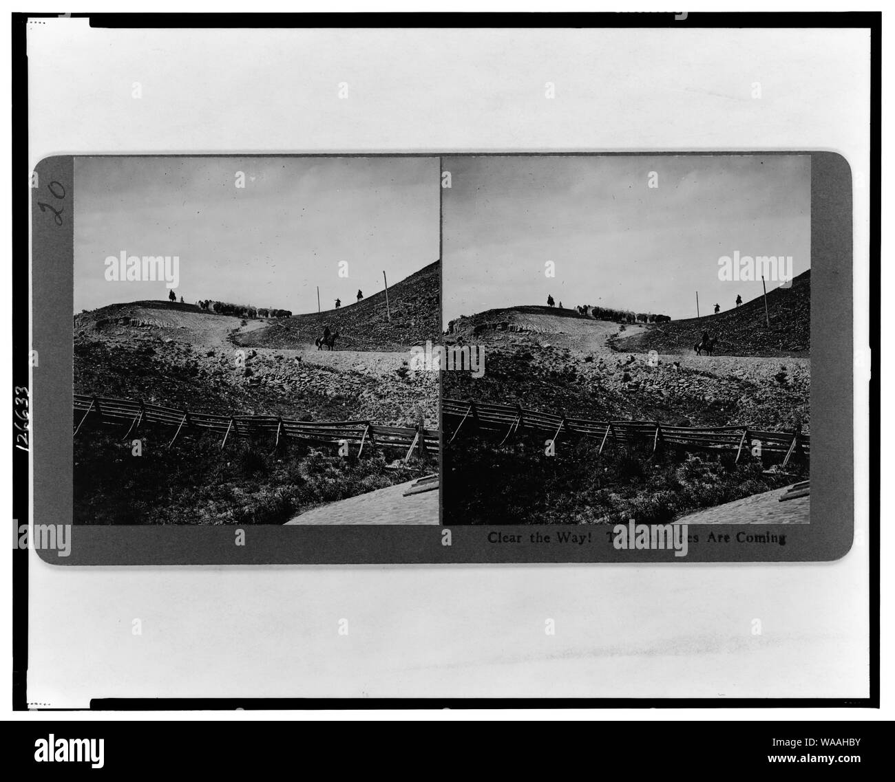 Cancellare il modo! Il bufalo indiano sono in arrivo Foto Stock