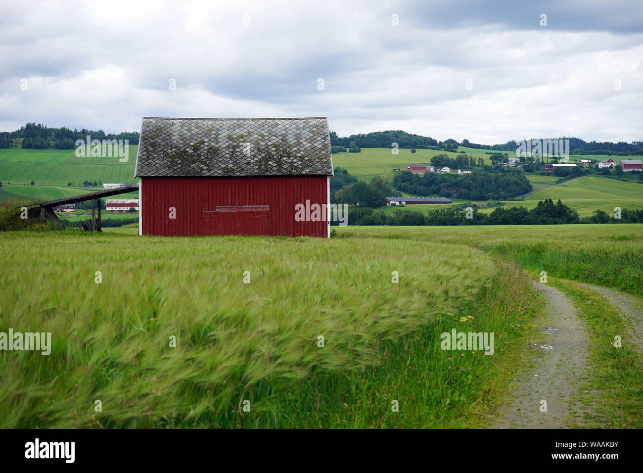 Il vecchio fienile sul campo in Norvegia Foto Stock