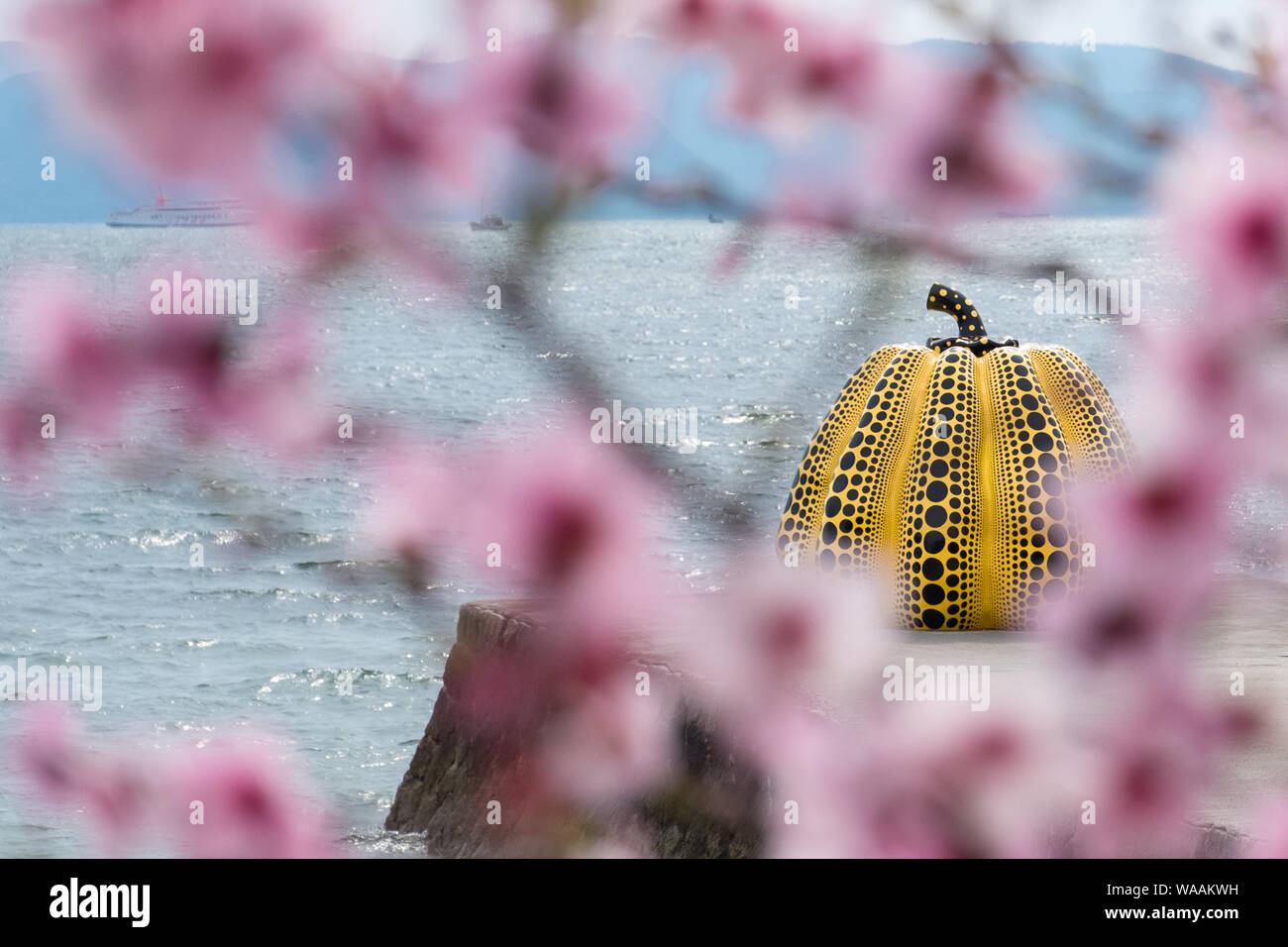 Guardando attraverso i fiori di ciliegio rosa brillante alla zucca gialla di Yayoi Kusama su Naoshima, Giappone Foto Stock