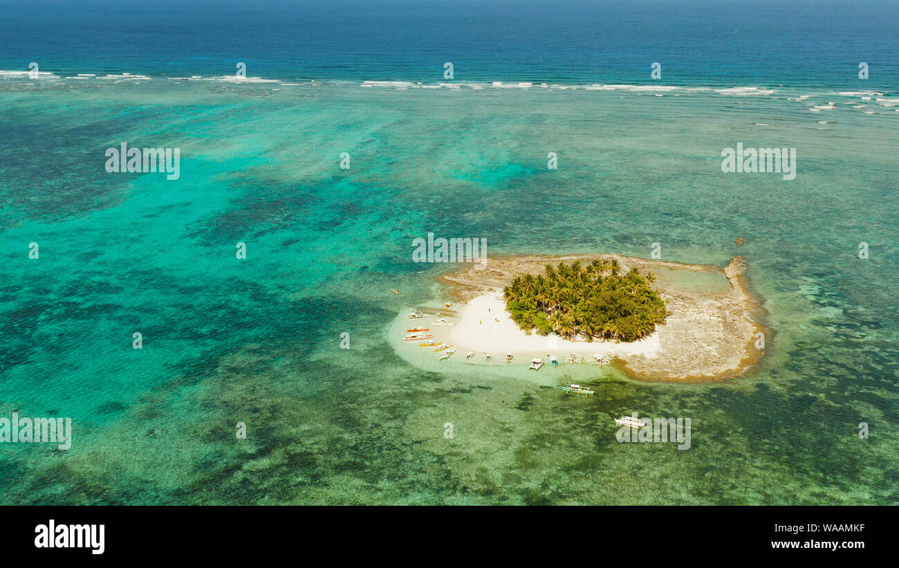 Isola tropicale con spiaggia di sabbia, palme da atollo con barriera corallina, vista dall'alto. Isola Guyam, Filippine, Siargao. Estate viaggi e concetto di vacanza. Foto Stock