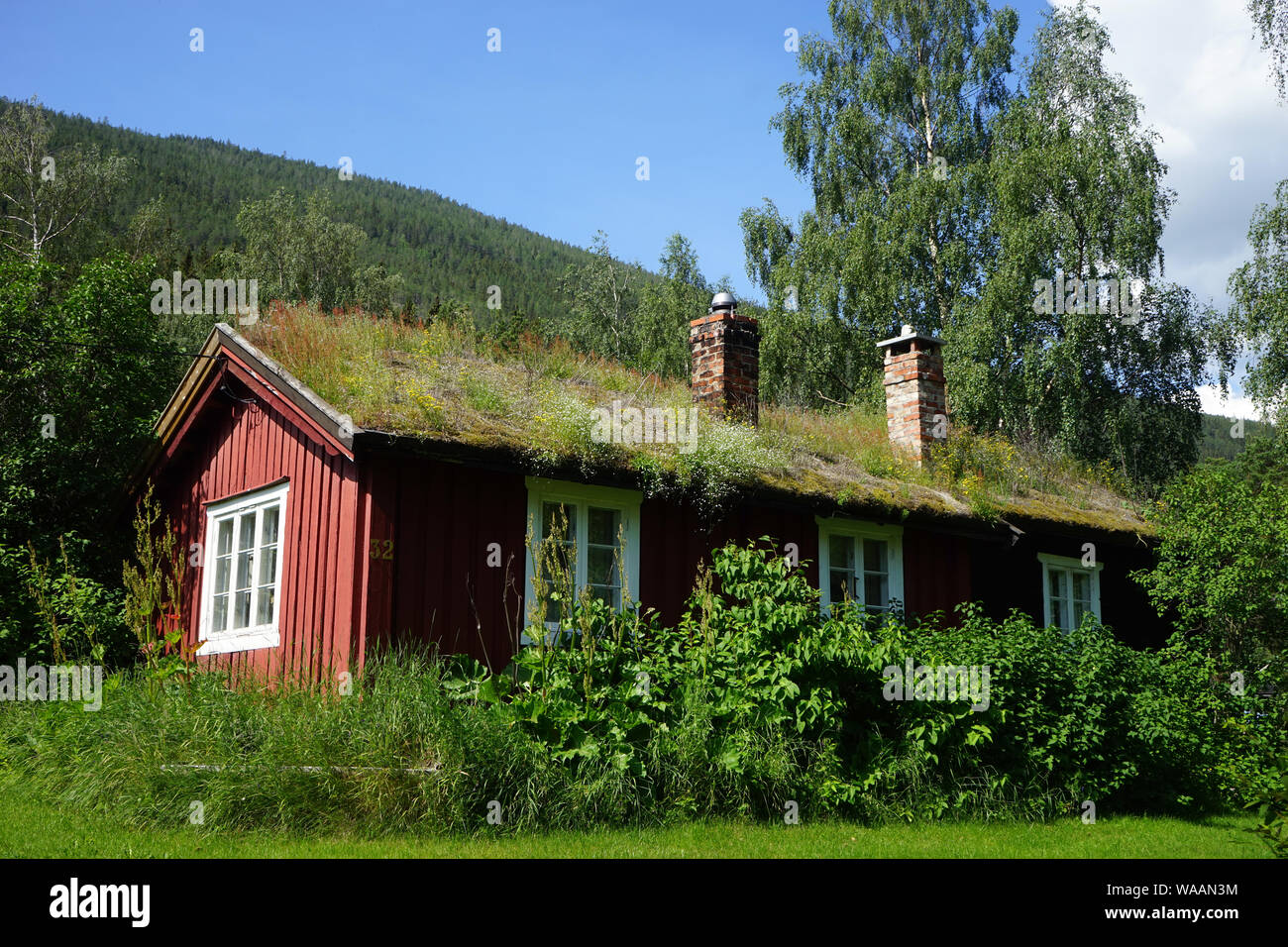 Legno casa fattoria merita erba verde sul tetto in Norvegia Foto Stock