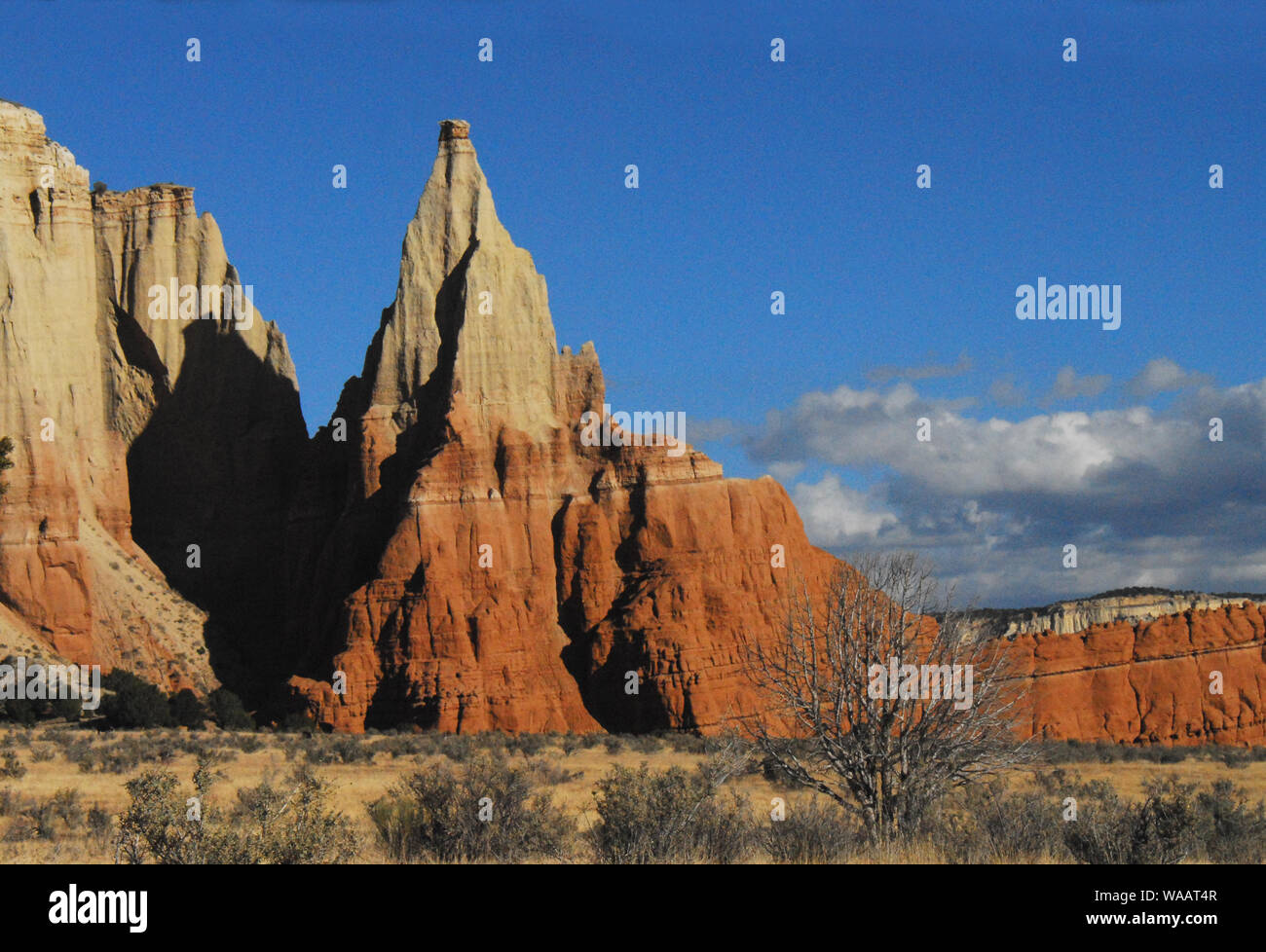 Vicino e distante scogliere e formazioni rocciose crea un paesaggio meraviglioso immagine del bellissimo deserto in Arizona Stati Uniti d'America. Nota abbondanza di spazio di copia Foto Stock